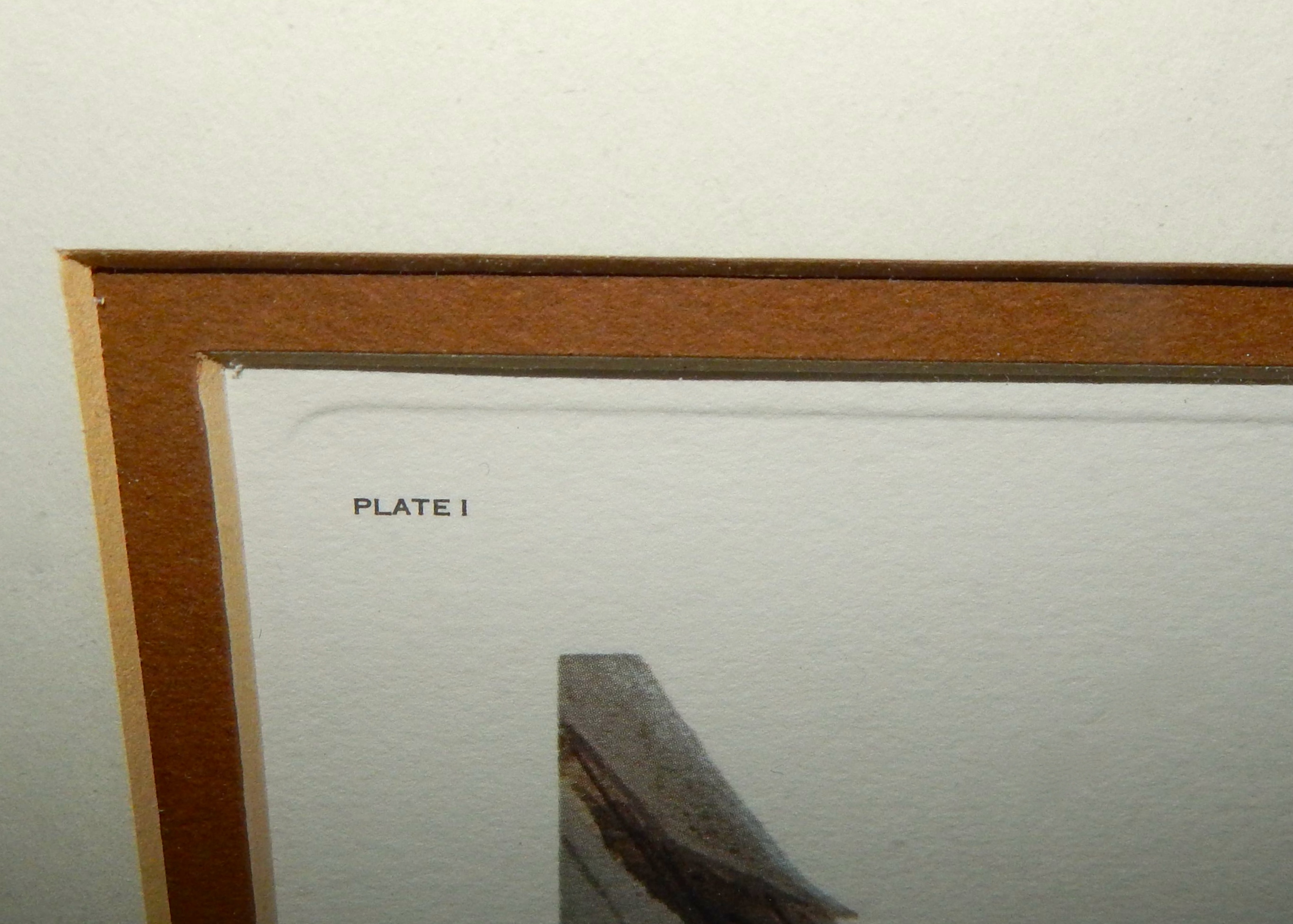 Lithographic Print "Screech Owls" by John Ruthven