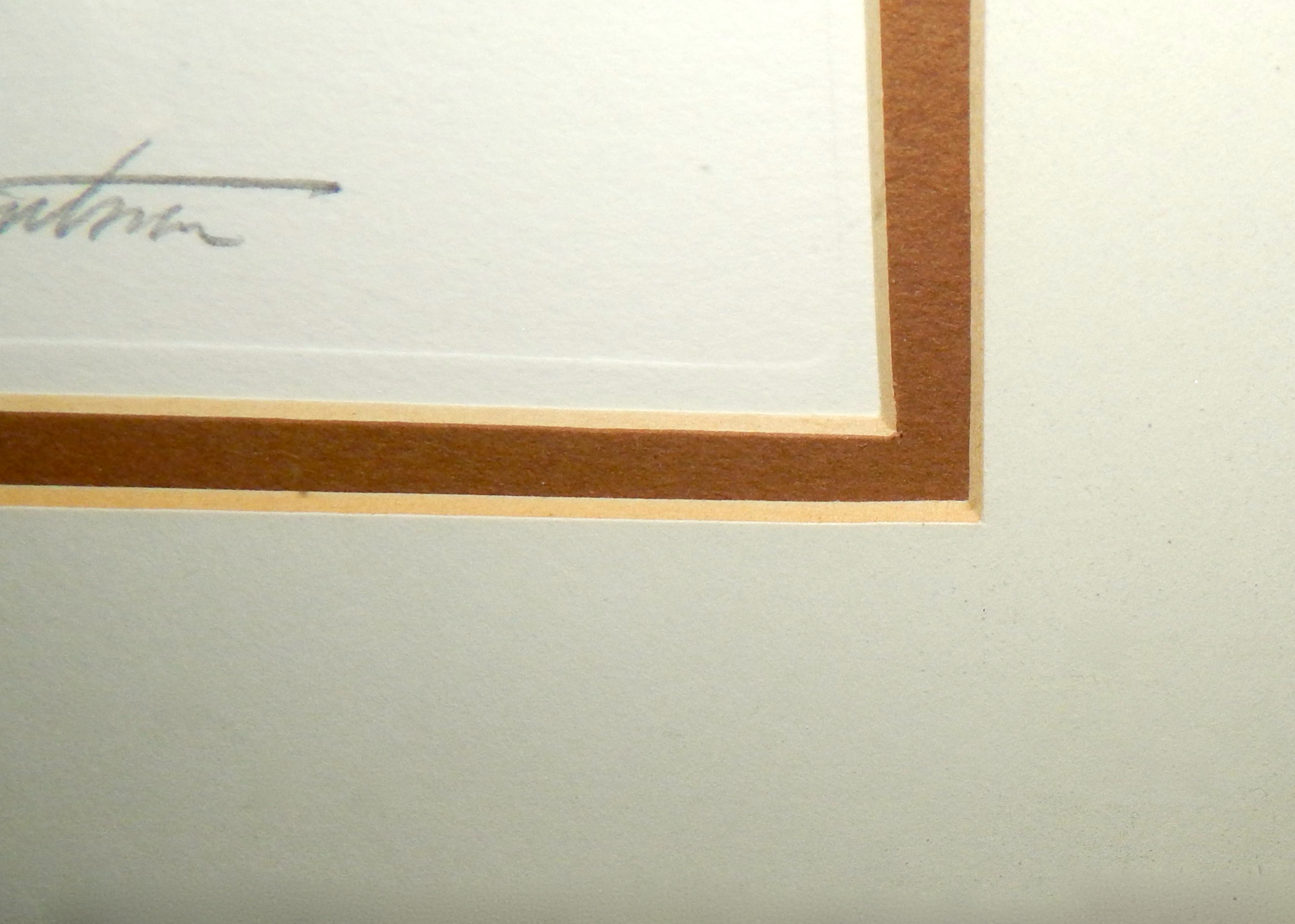 Lithographic Print "Screech Owls" by John Ruthven