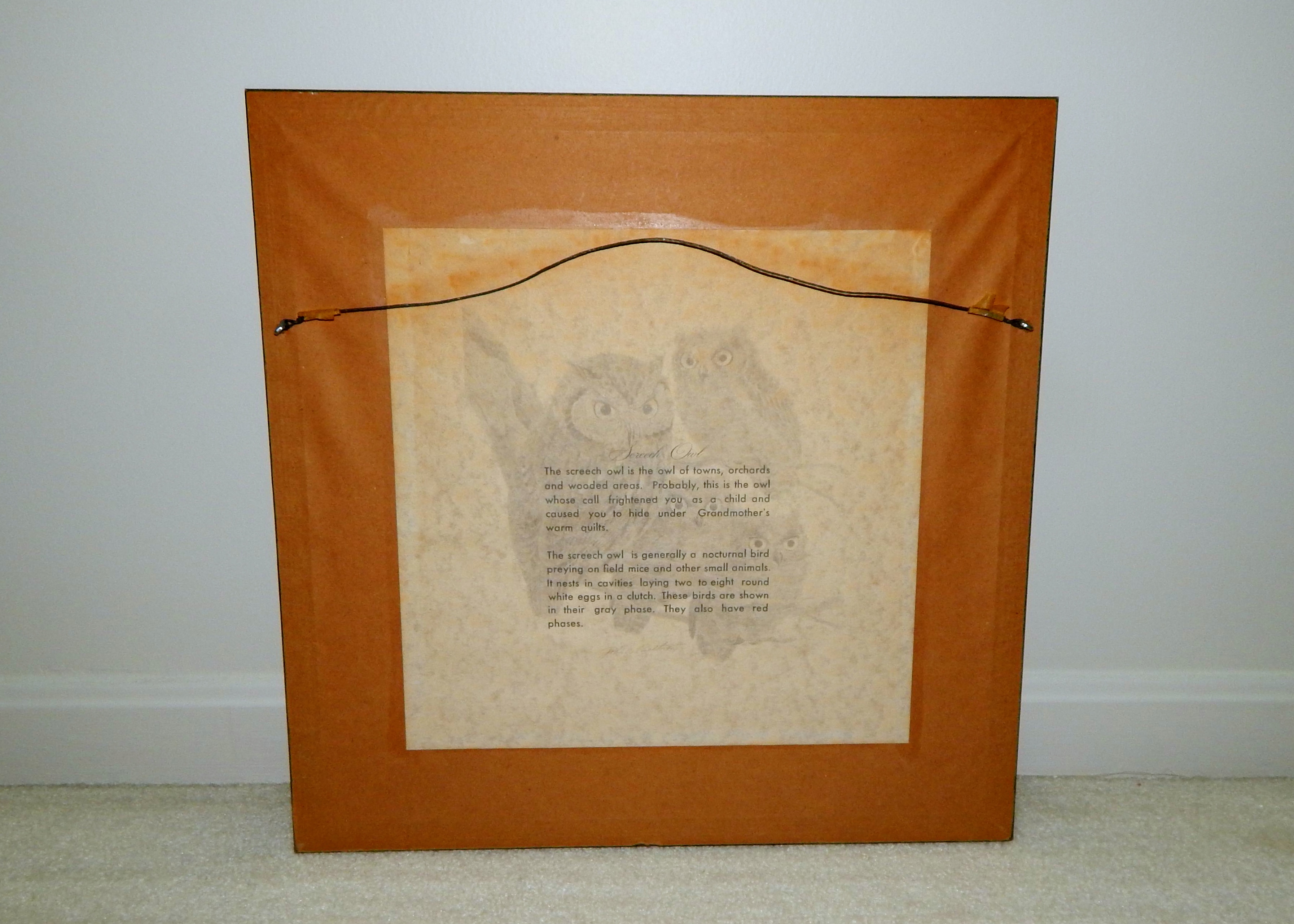 Lithographic Print "Screech Owls" by John Ruthven