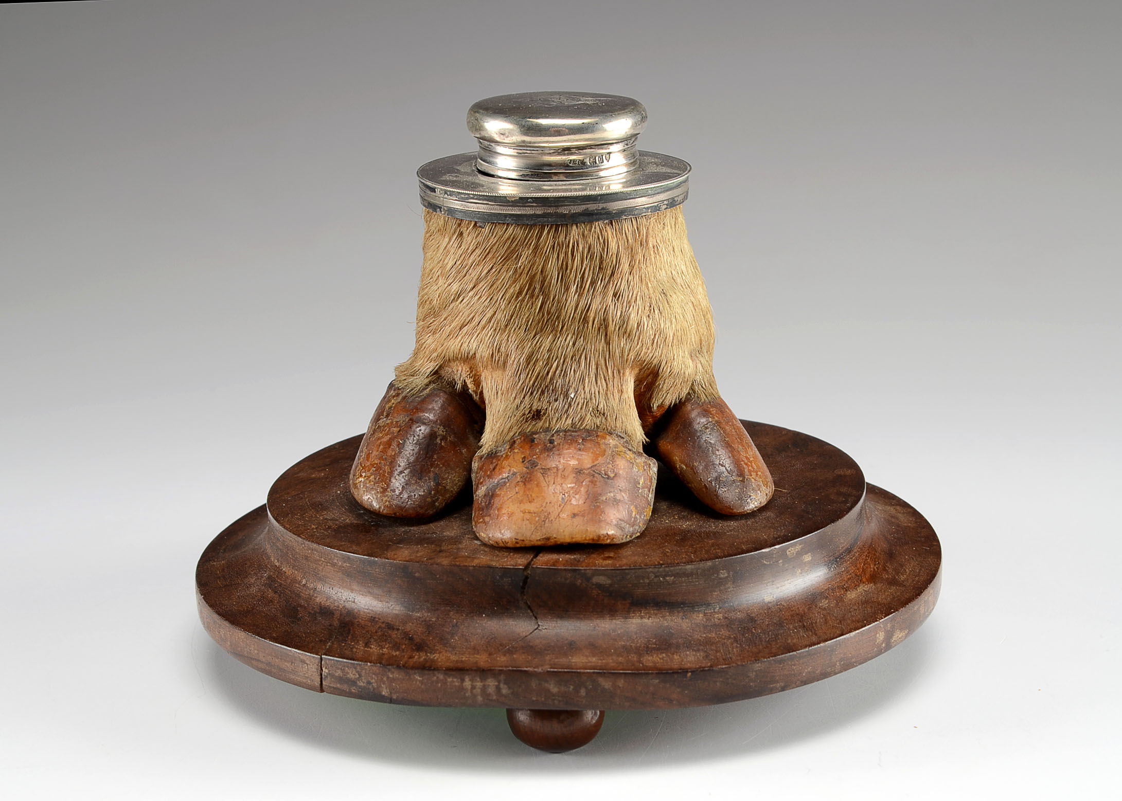 Early 20th Century Tapir Foot Inkwell