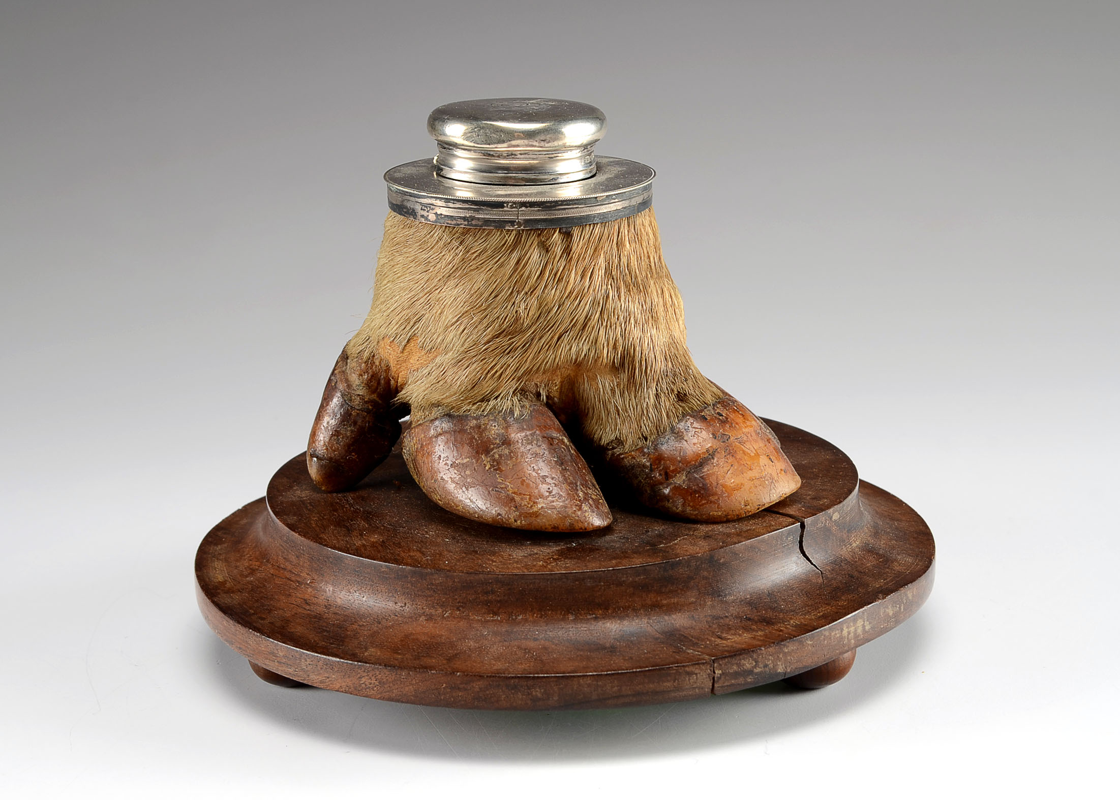 Early 20th Century Tapir Foot Inkwell