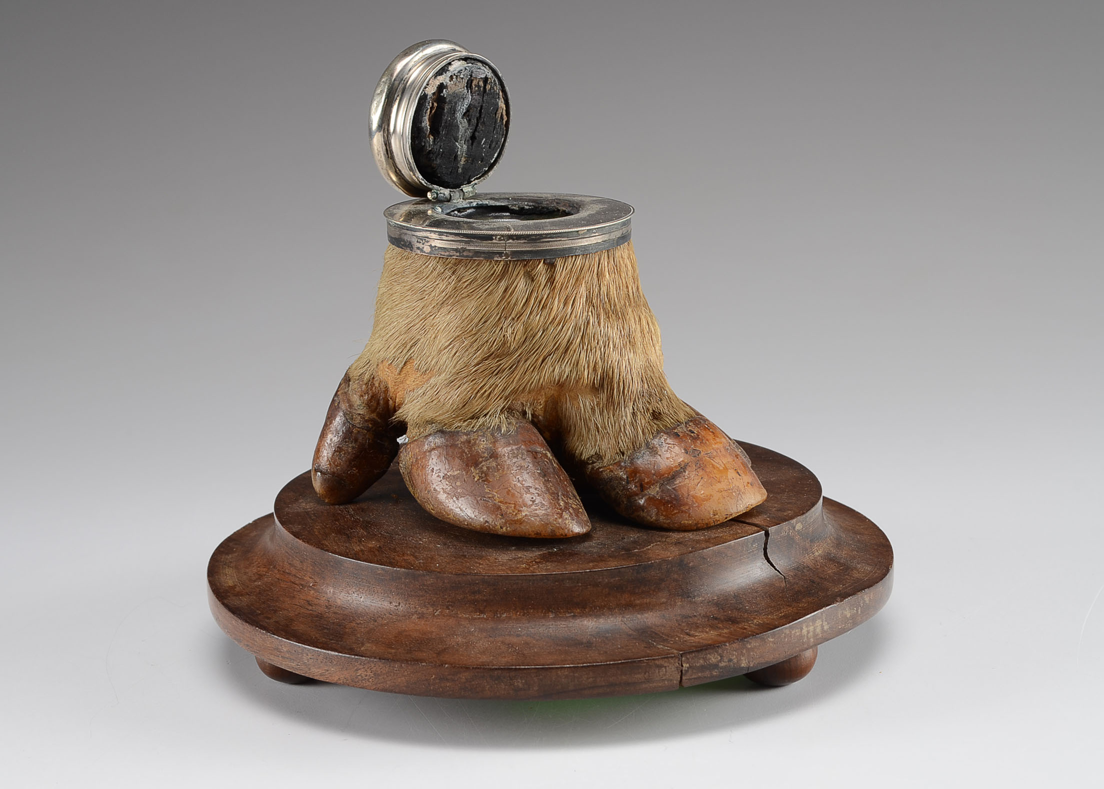 Early 20th Century Tapir Foot Inkwell