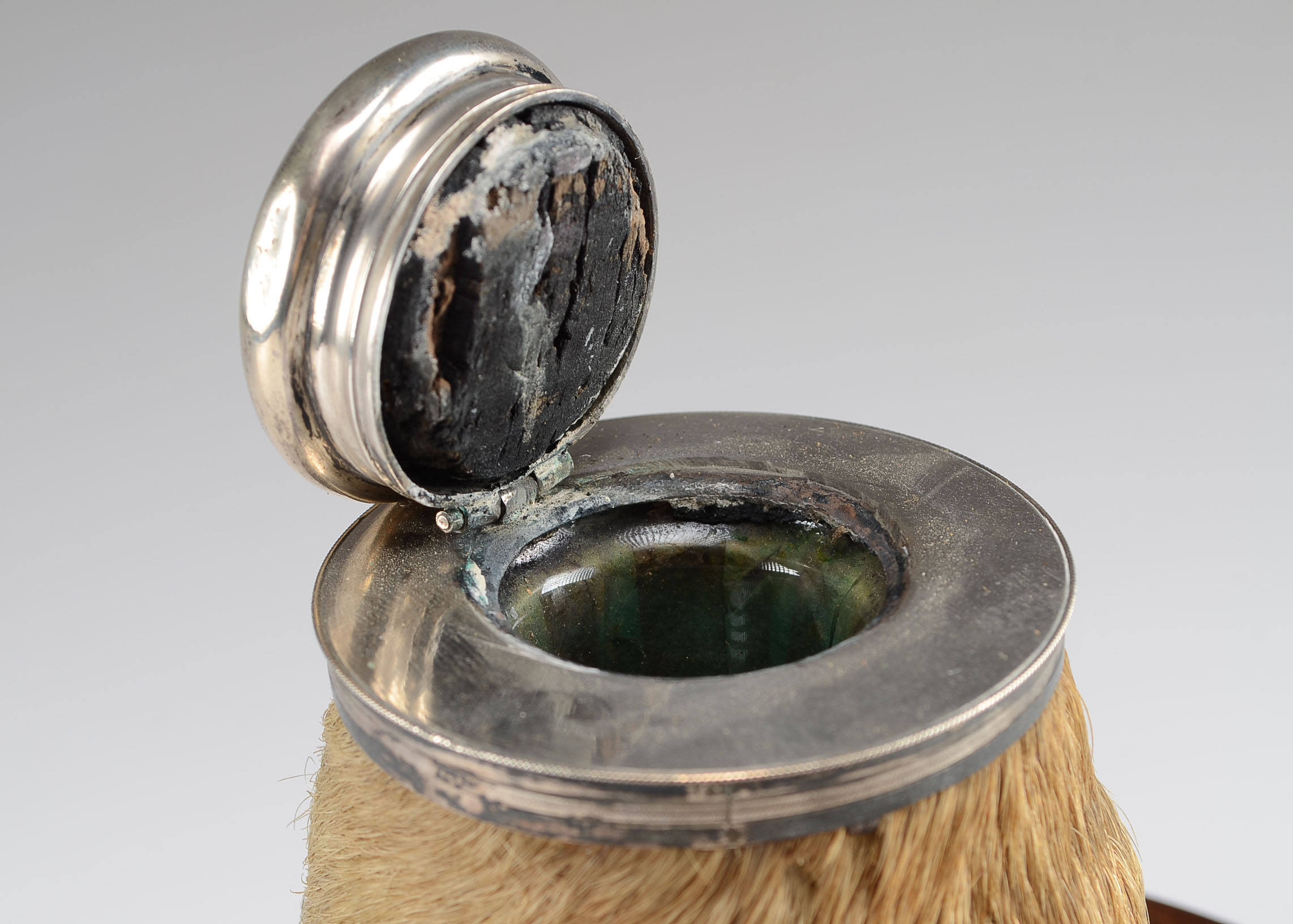 Early 20th Century Tapir Foot Inkwell