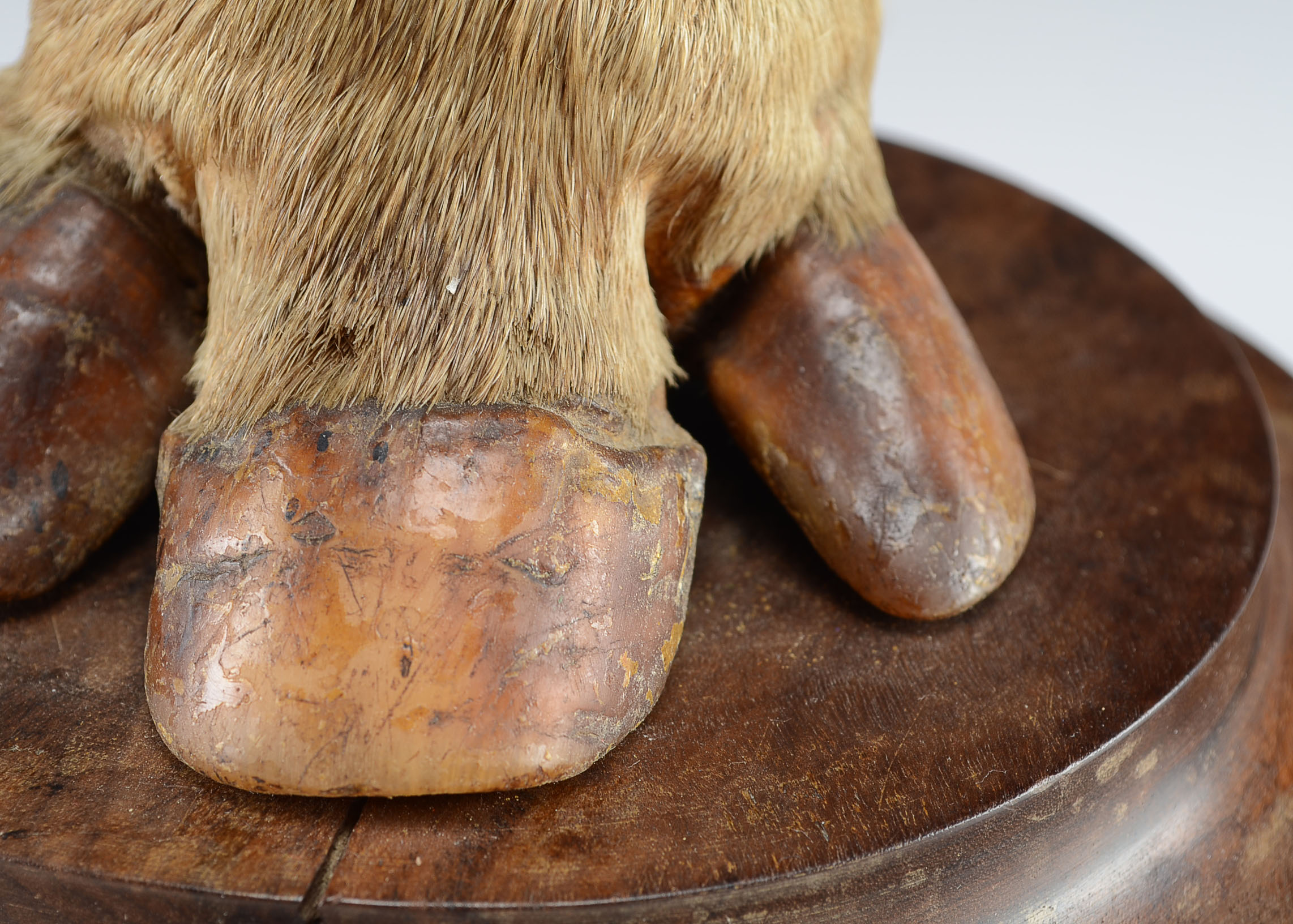 Early 20th Century Tapir Foot Inkwell