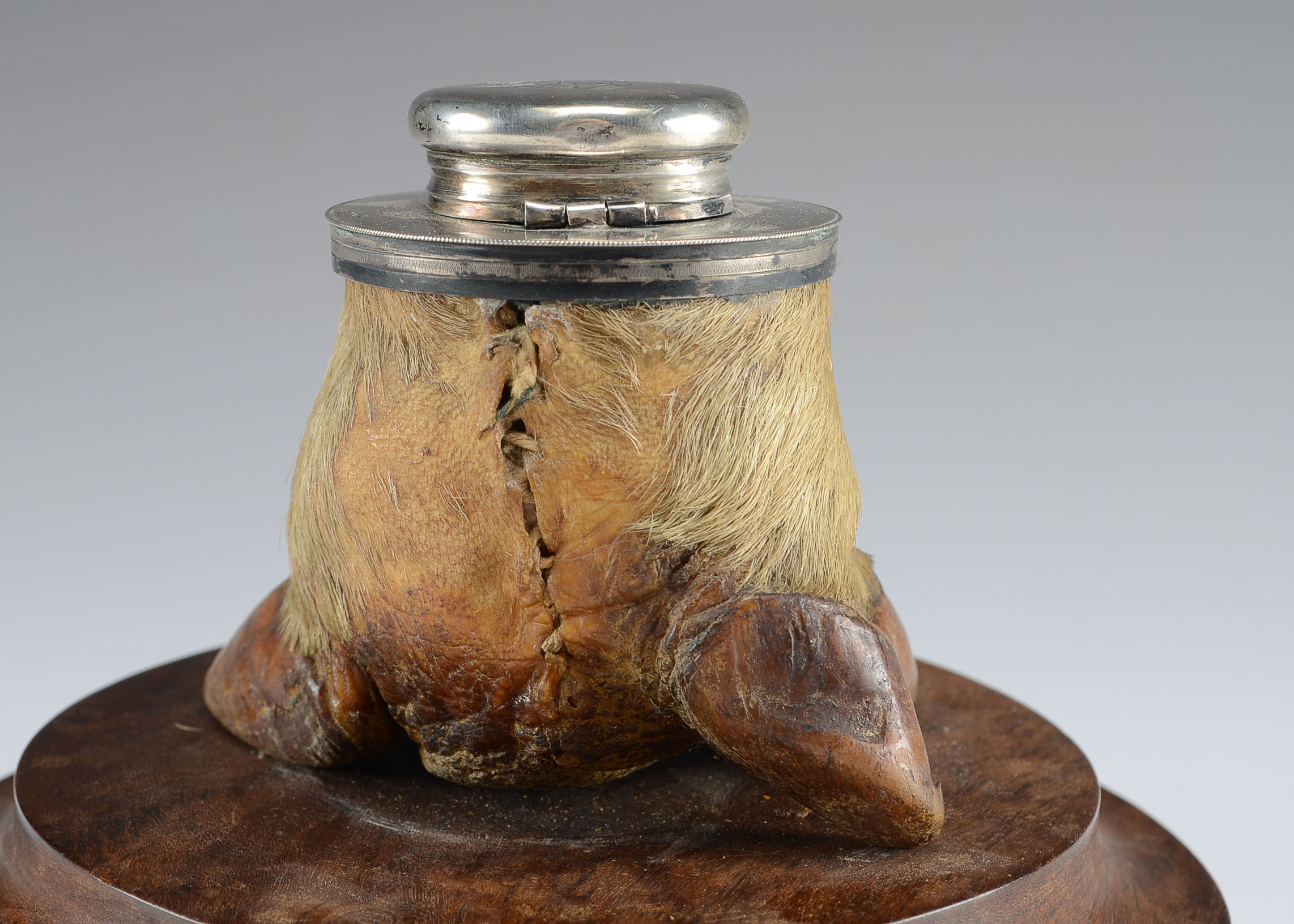 Early 20th Century Tapir Foot Inkwell