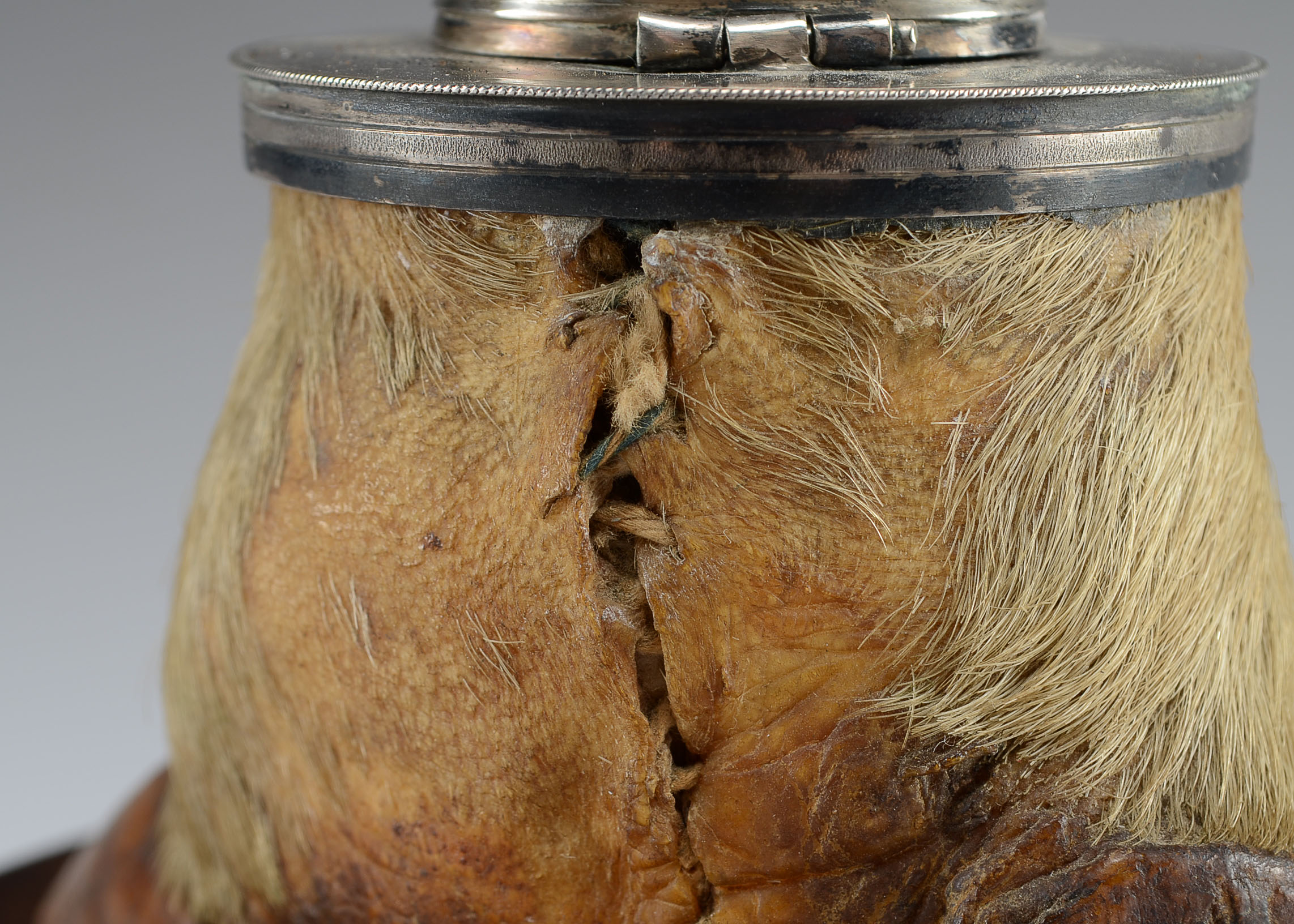 Early 20th Century Tapir Foot Inkwell