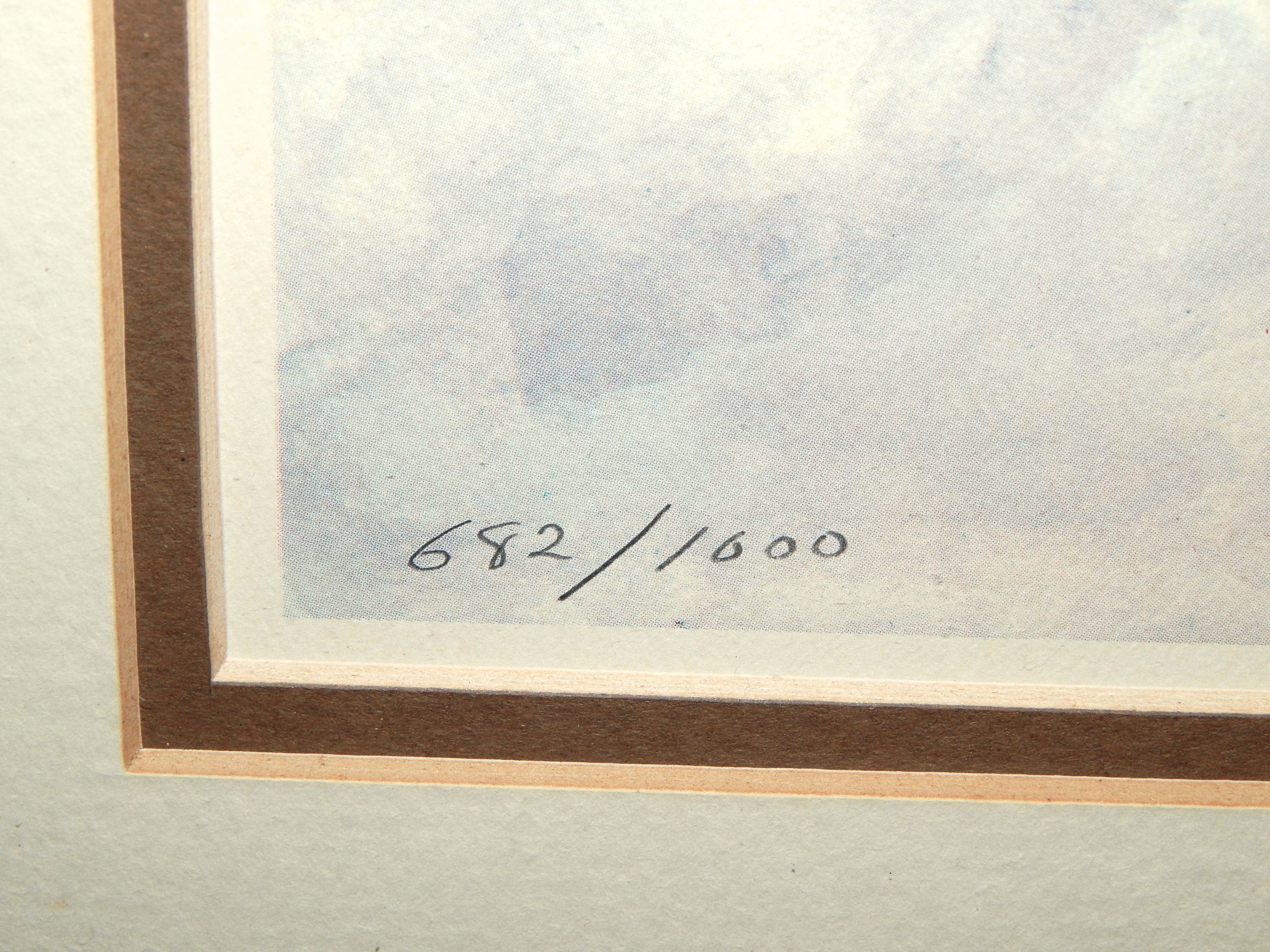 Roy E. Boone Signed Limited Edition Lithograph Of A Wild Rabbit