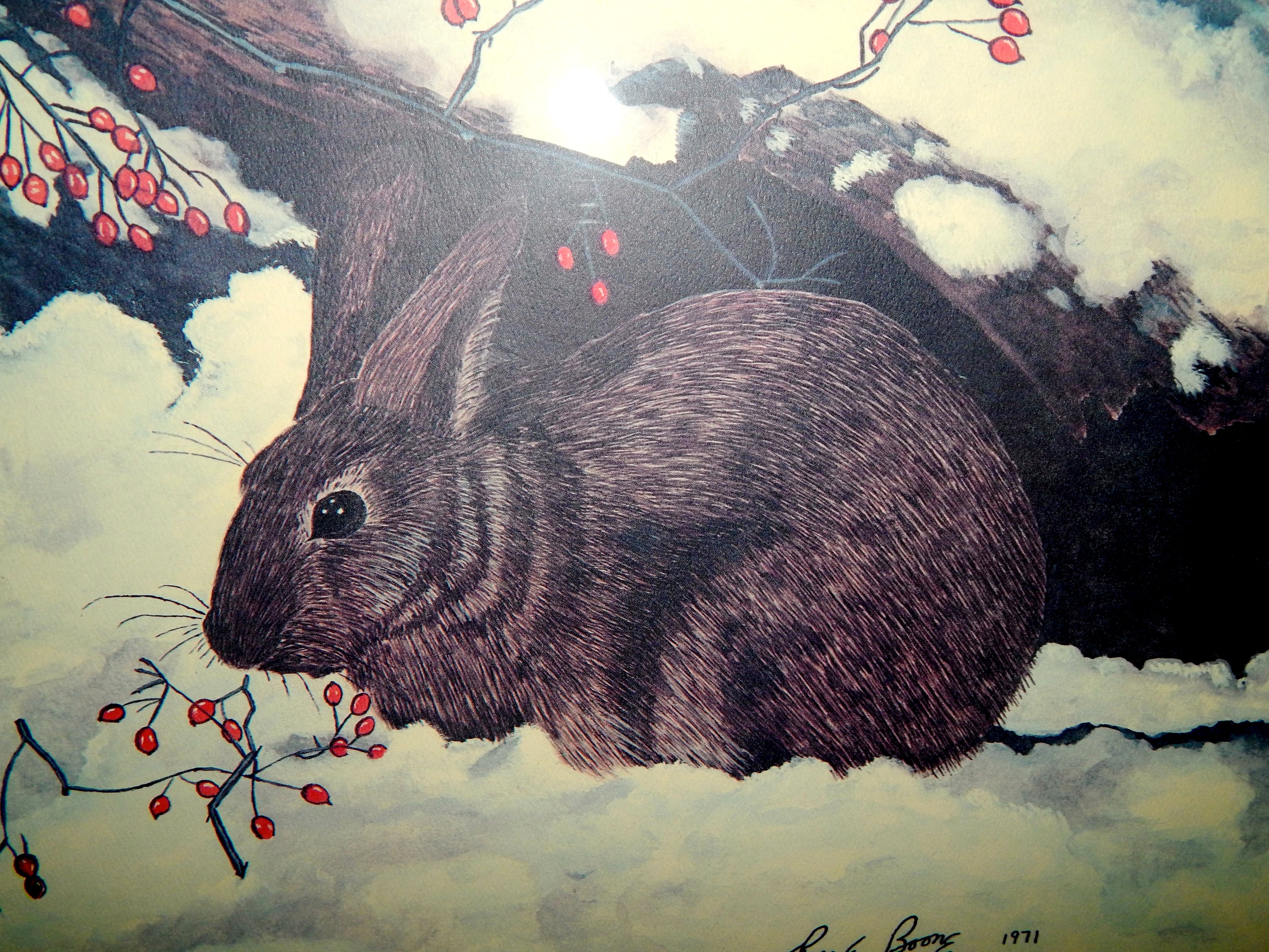Roy E. Boone Signed Limited Edition Lithograph Of A Wild Rabbit