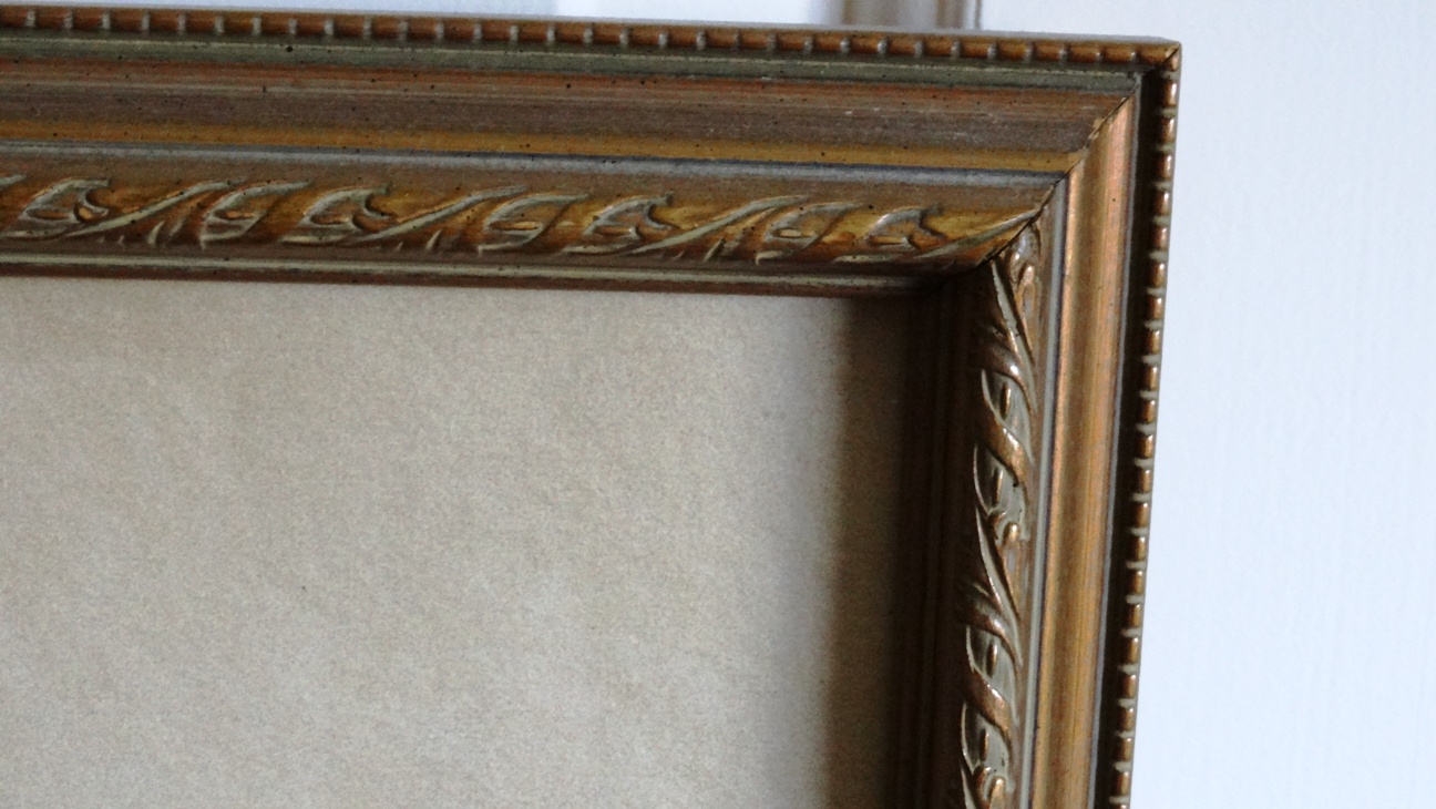 Bombay Company Framed Botanical Prints