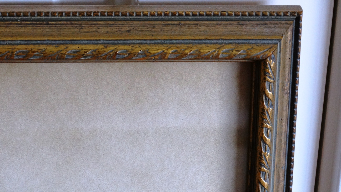 Bombay Company Framed Botanical Prints