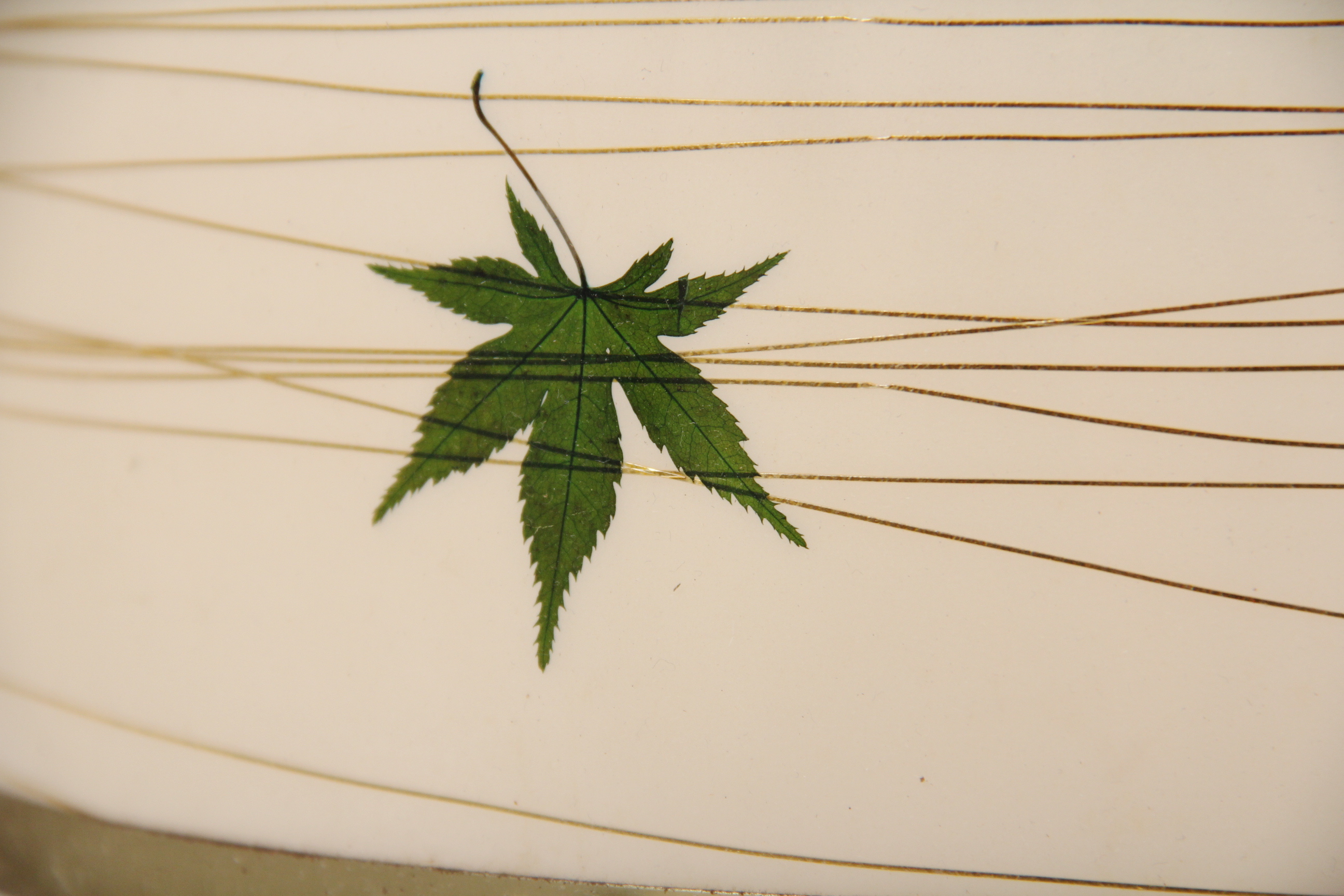 Pair of Mid Century Modern Hanging Light Fixtures