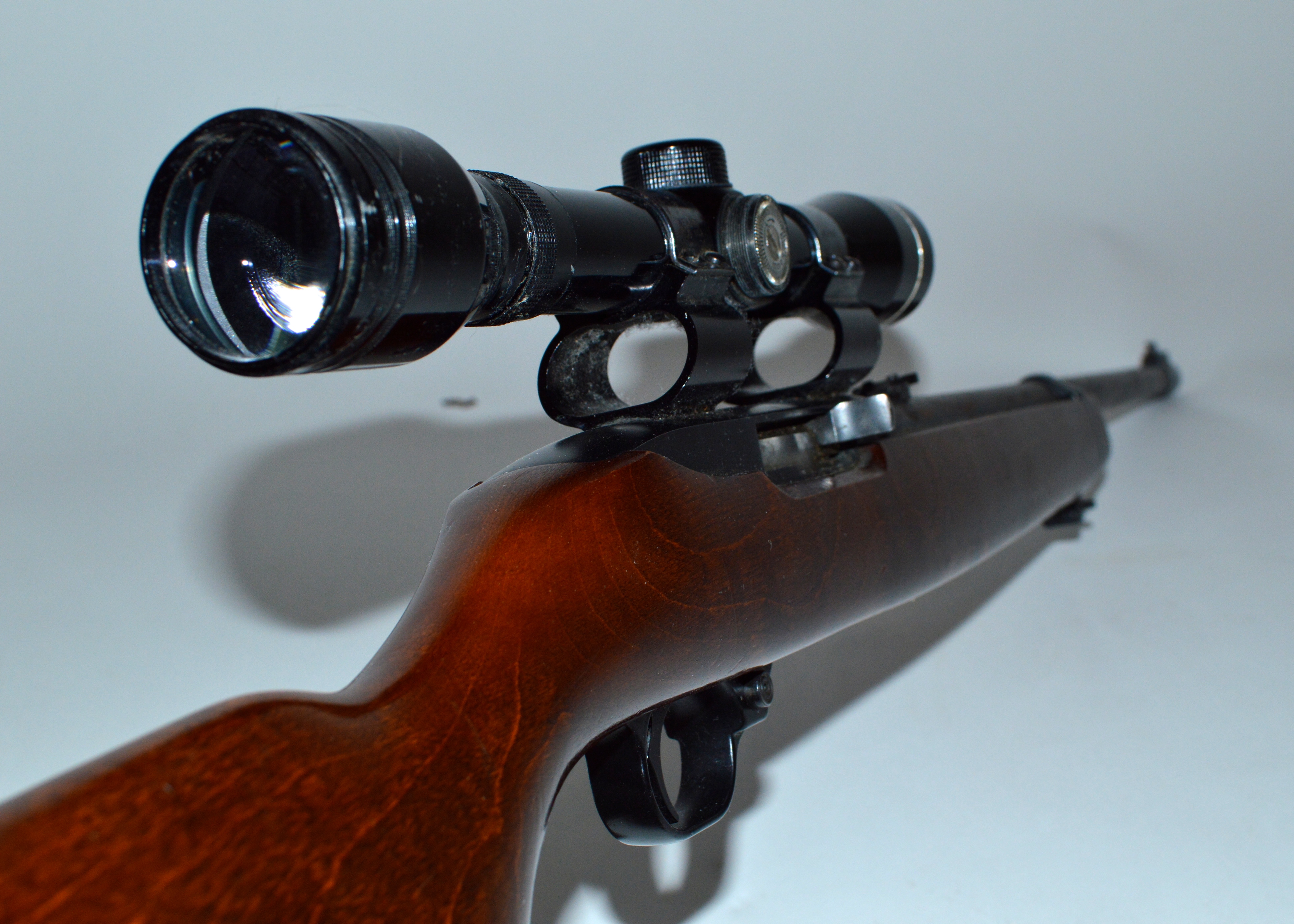 Ruger 10/22 Caliber Rifle with Scope