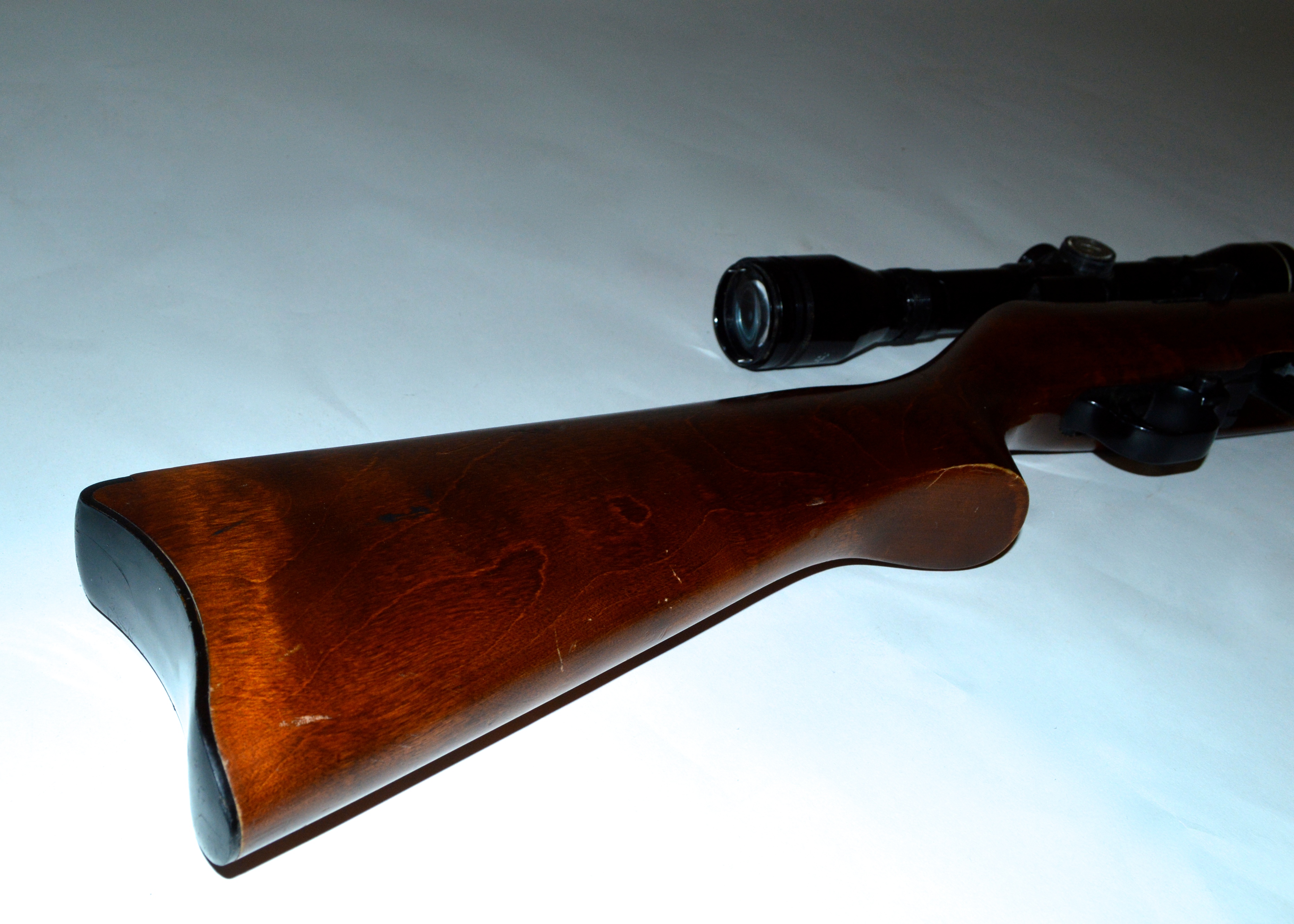 Ruger 10/22 Caliber Rifle with Scope