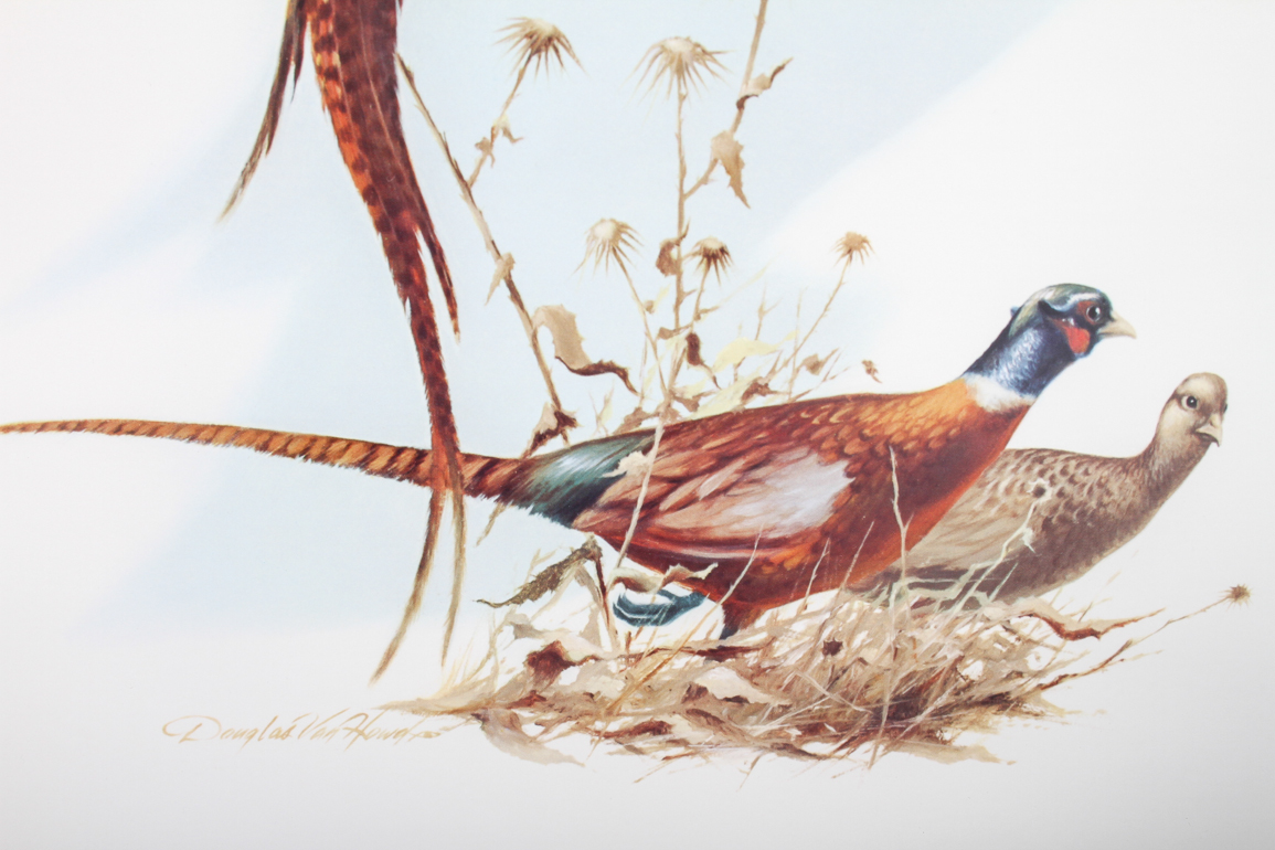 Lithograph of Pheasants by Douglas Van Howd