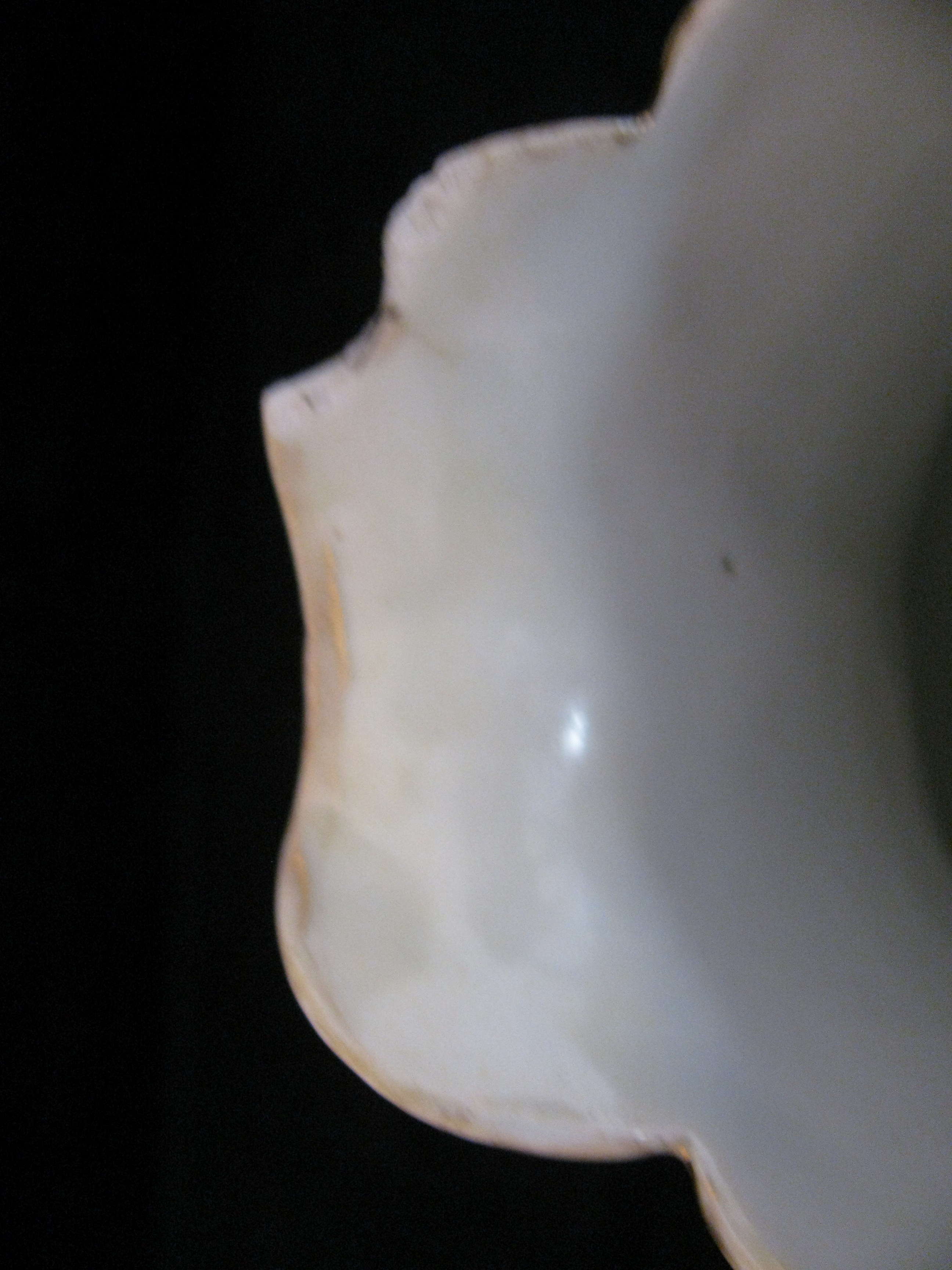 Antique Nippon Morimoto Brothers Pitcher