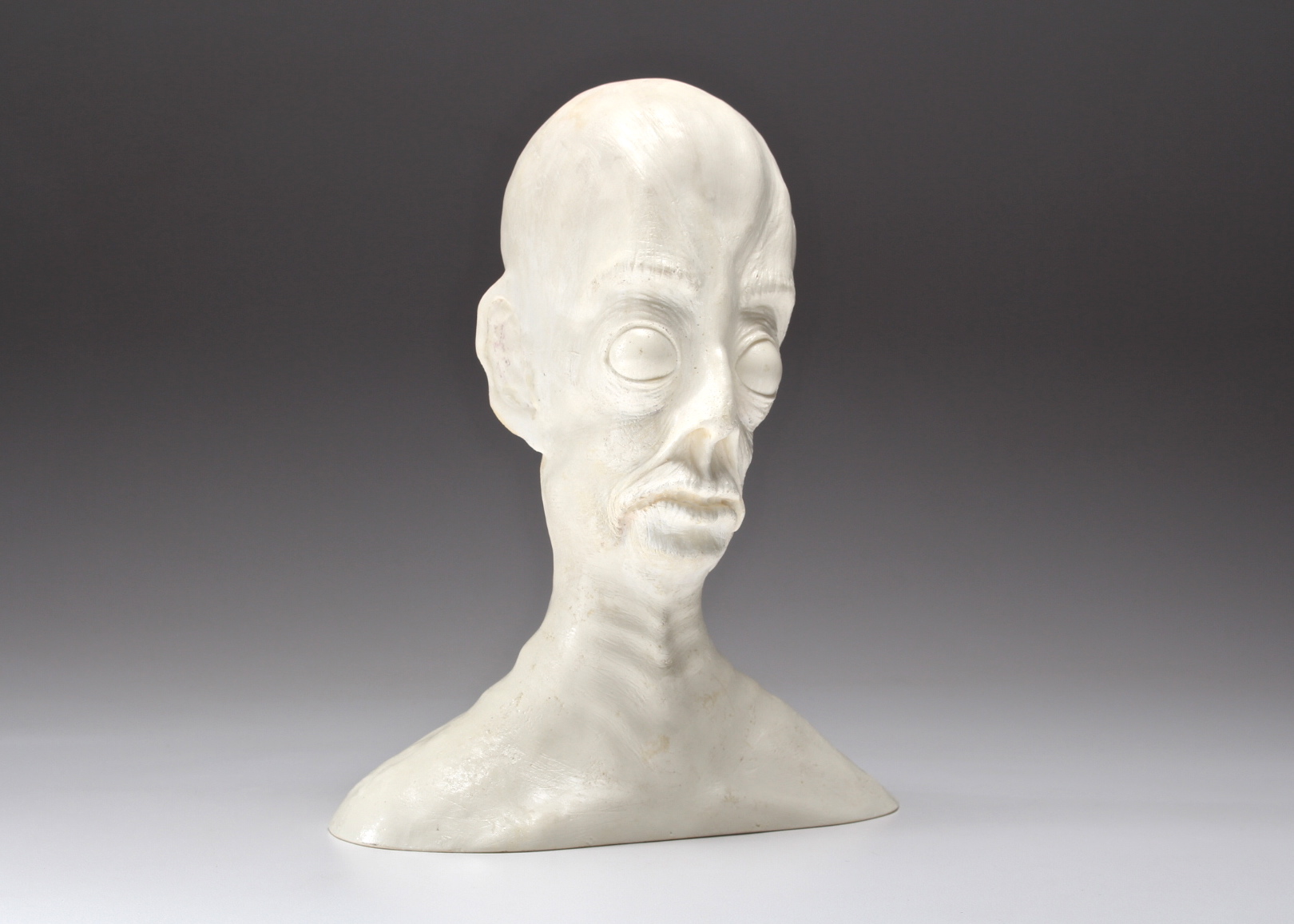 Resin Cast Alien Head Bust