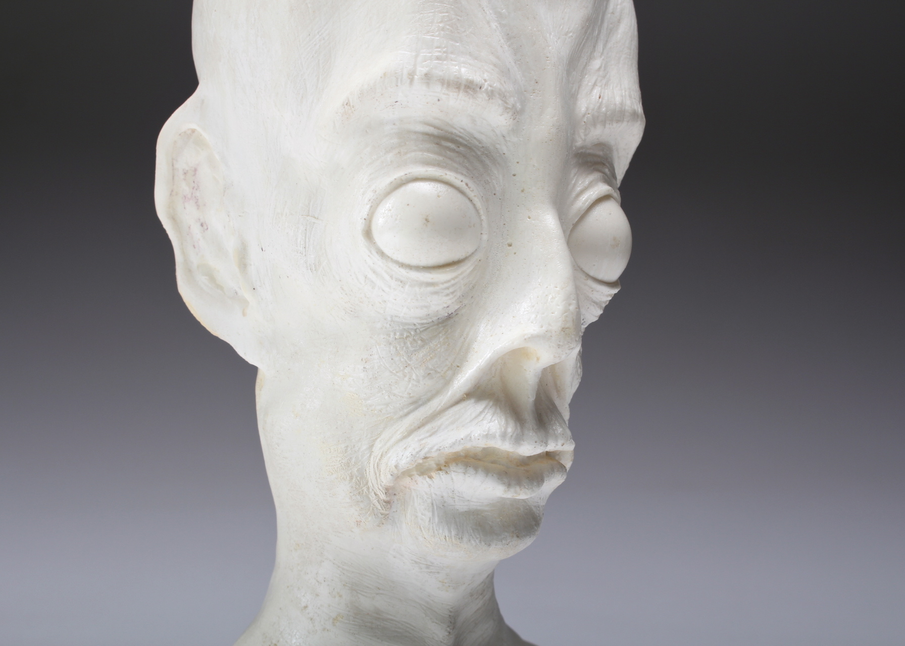 Resin Cast Alien Head Bust