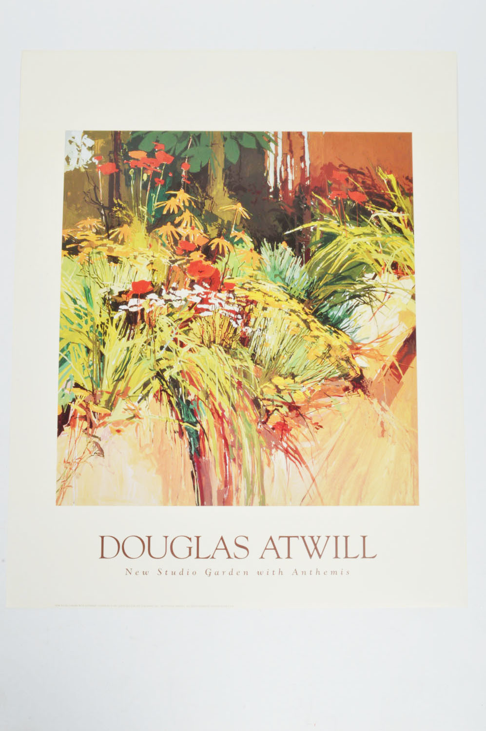 Unframed Floral Prints