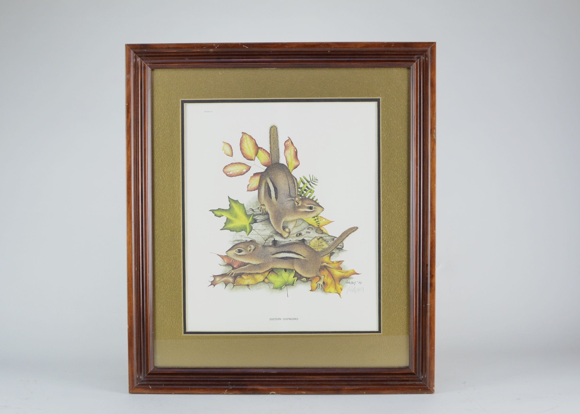 SIgned Framed Wildlife Prints by Kentucky Artist Rick Hill