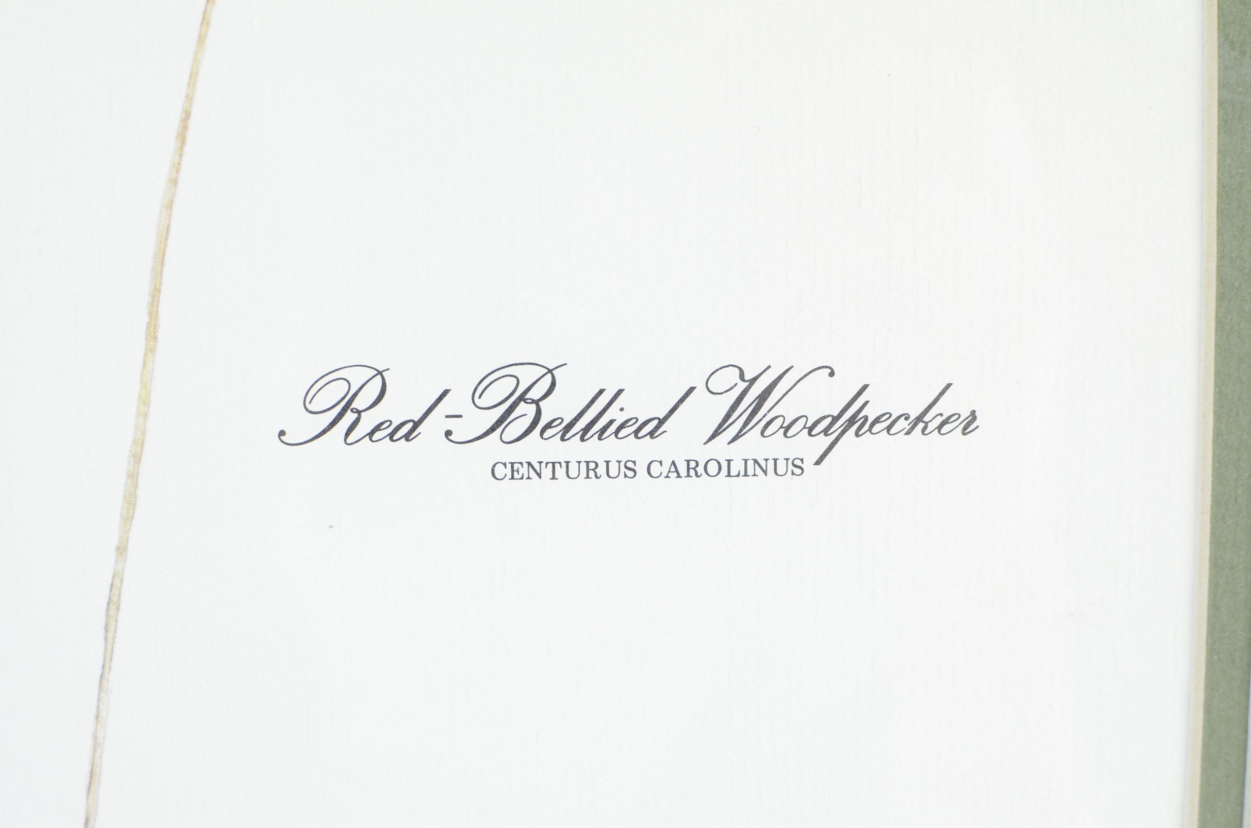 SIgned Framed Wildlife Prints by Kentucky Artist Rick Hill