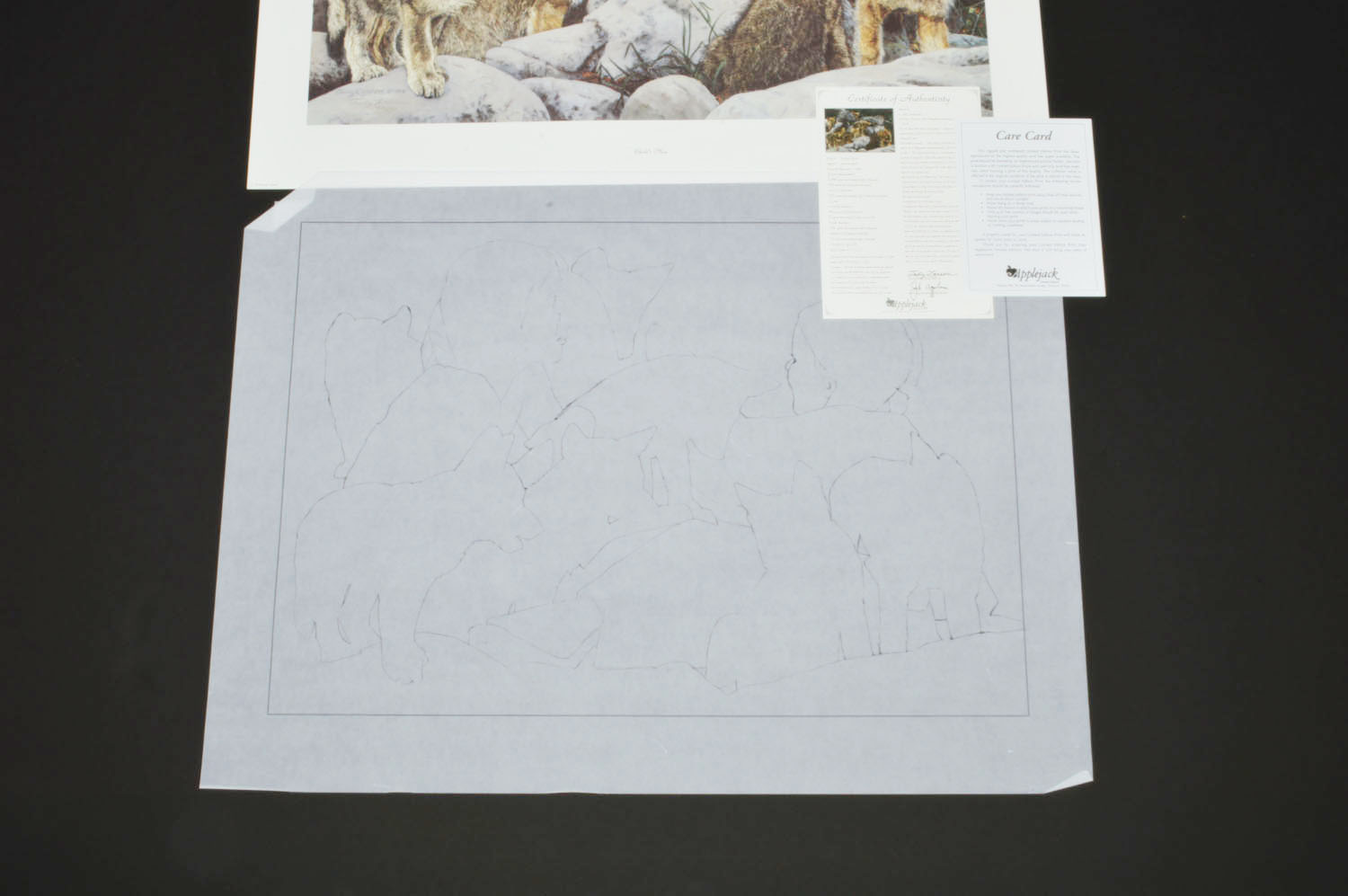 Signed Limited Edition Judy Larson Poster Print with Transparency