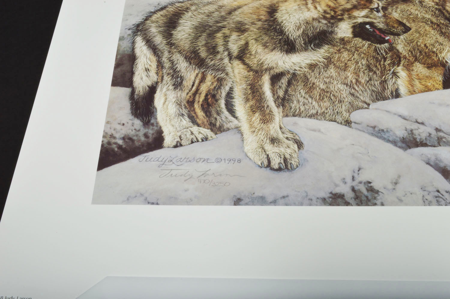 Signed Limited Edition Judy Larson Poster Print with Transparency