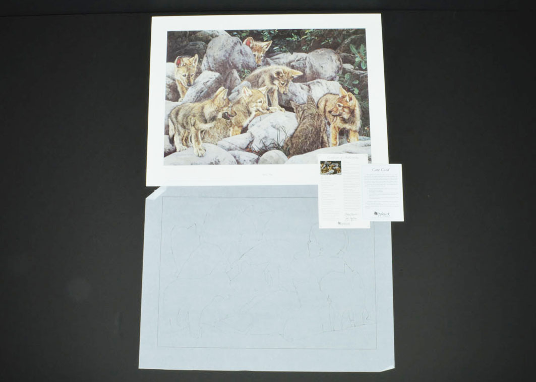 Signed Limited Edition Judy Larson Poster Print with Transparency