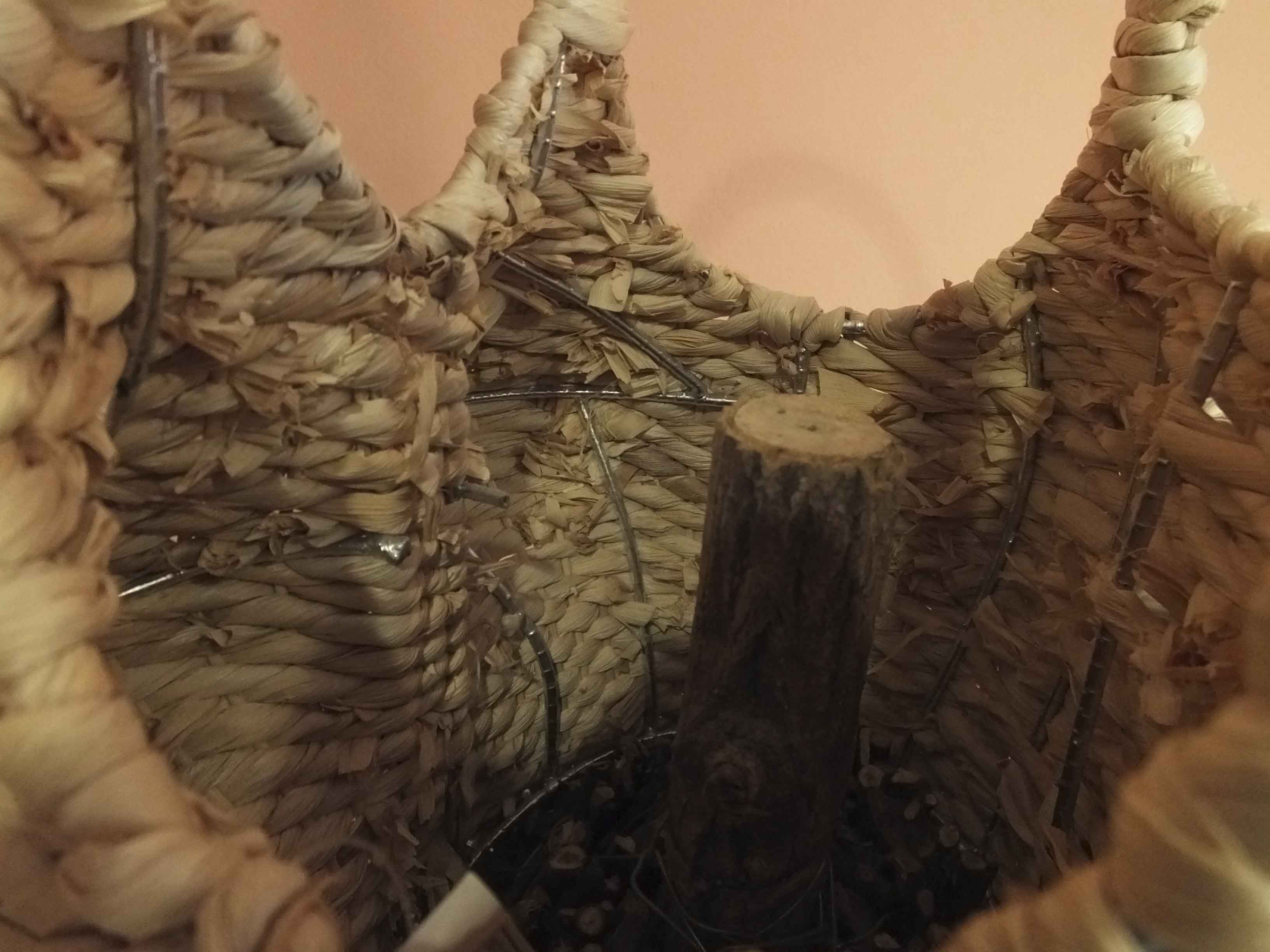 Life-Size Organic Sculpture