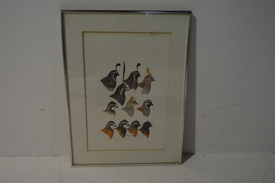 Roger Tory Peterson Quail Print