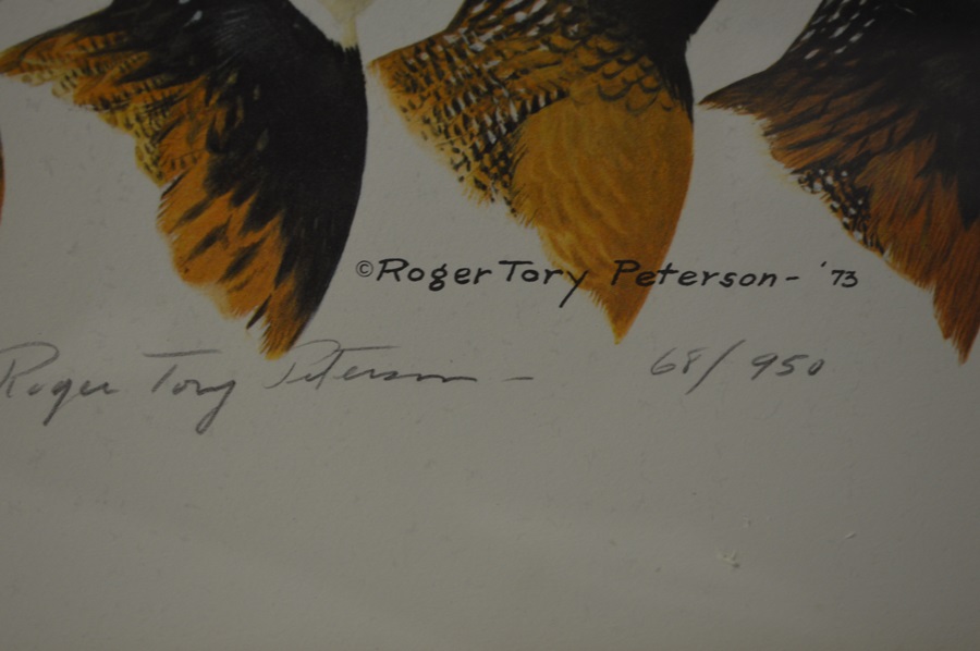 Roger Tory Peterson Quail Print