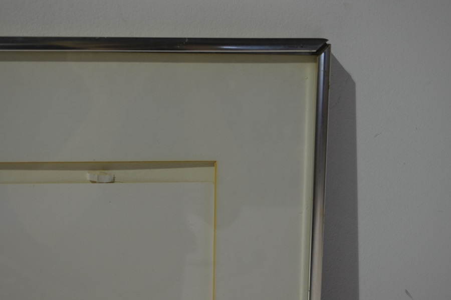 Roger Tory Peterson Quail Print