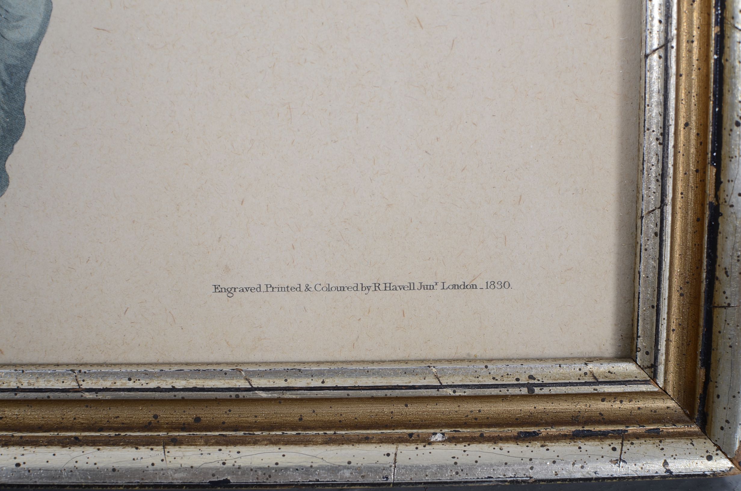 Audubon and Asian Vintage Prints