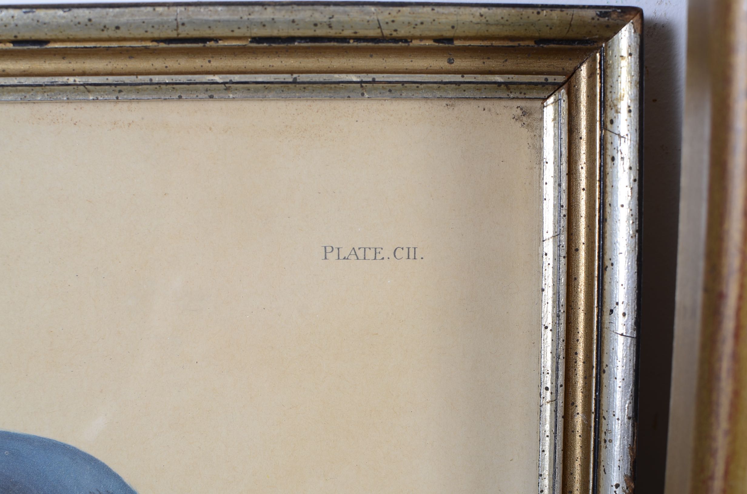 Audubon and Asian Vintage Prints