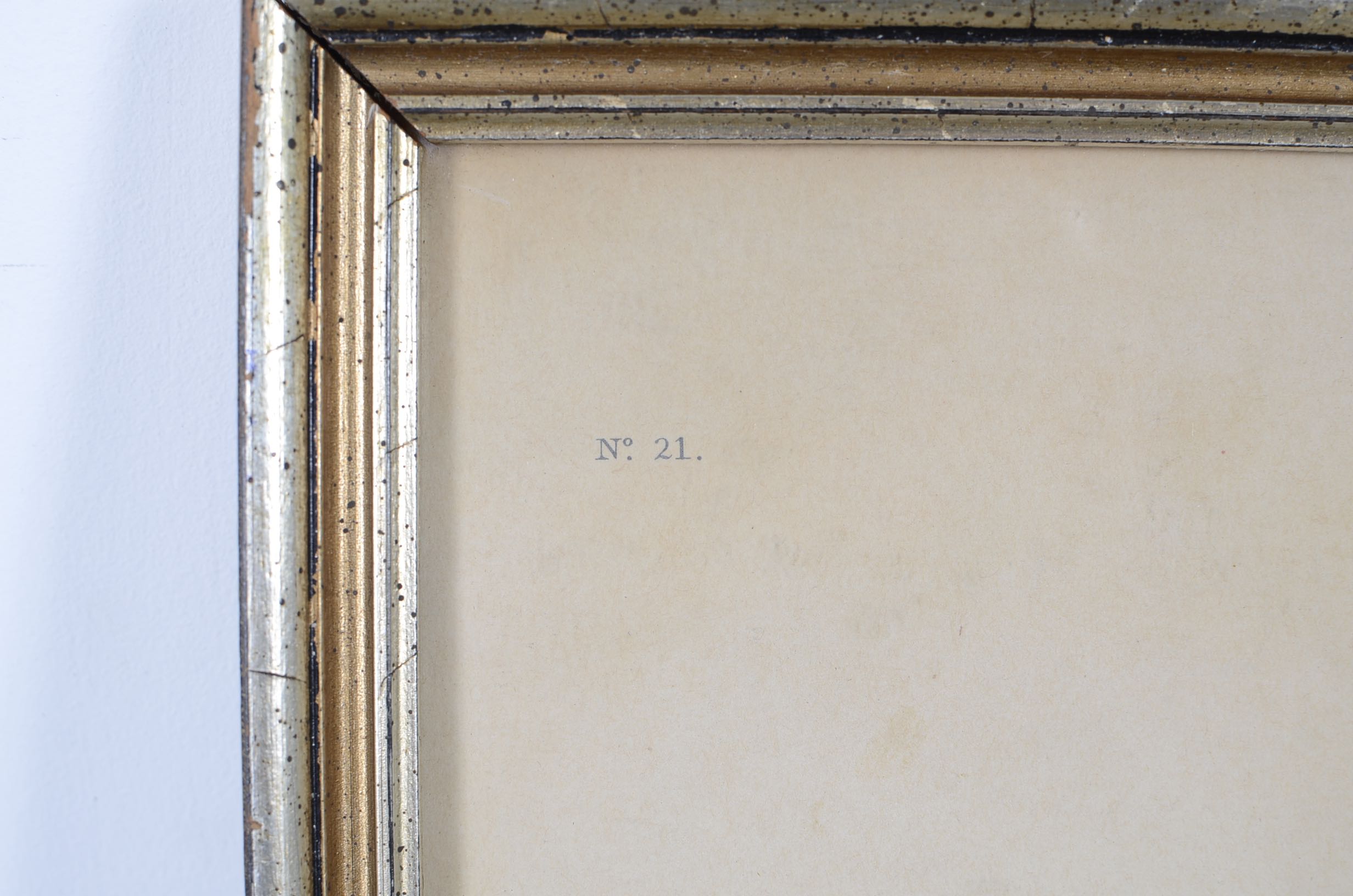 Audubon and Asian Vintage Prints