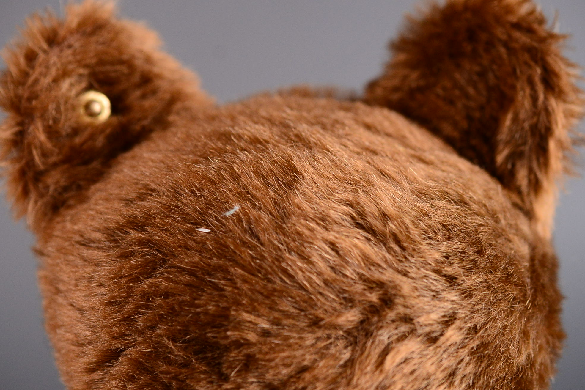 Steiff Bear, Germany