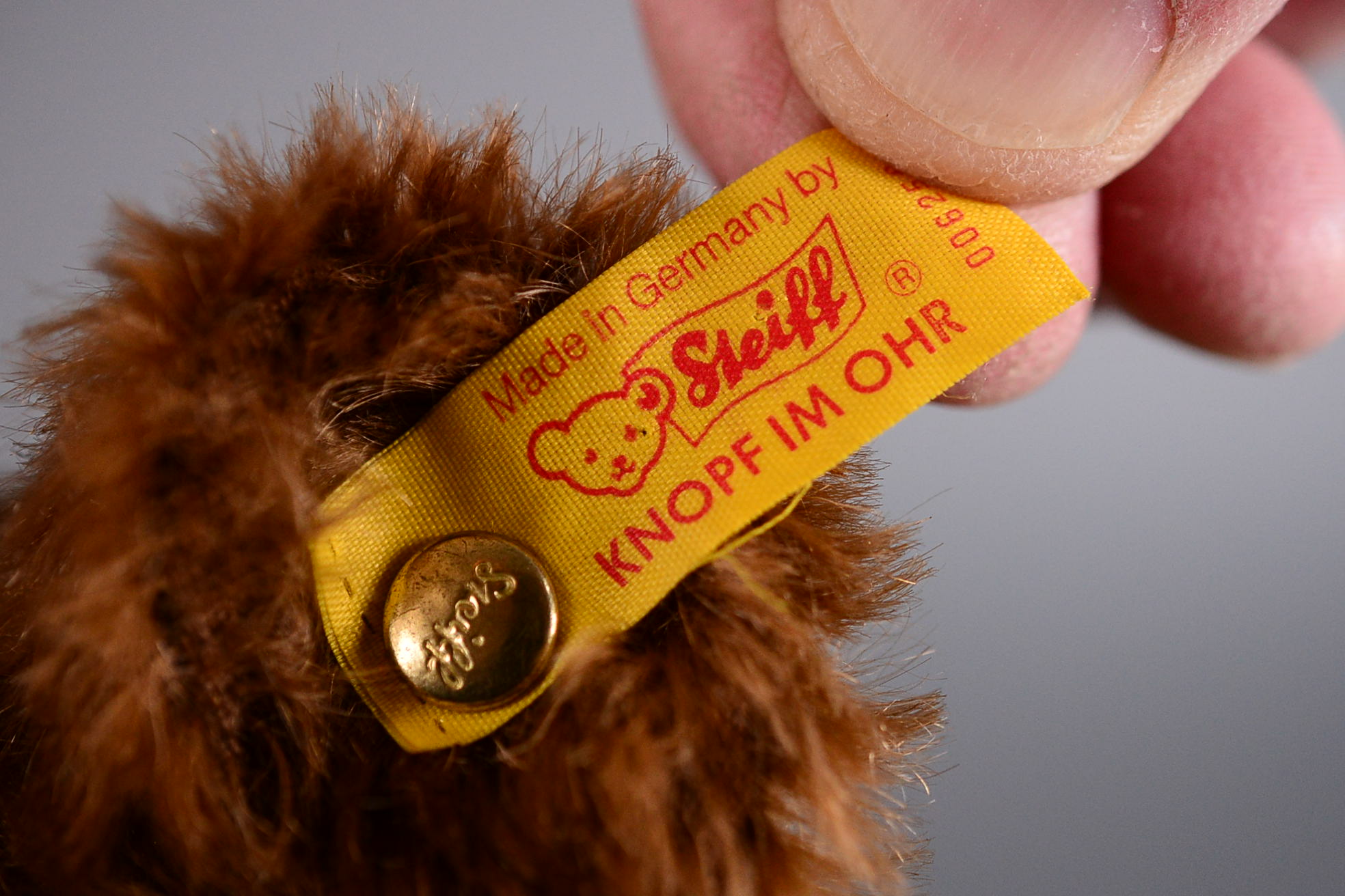 Steiff Bear, Germany