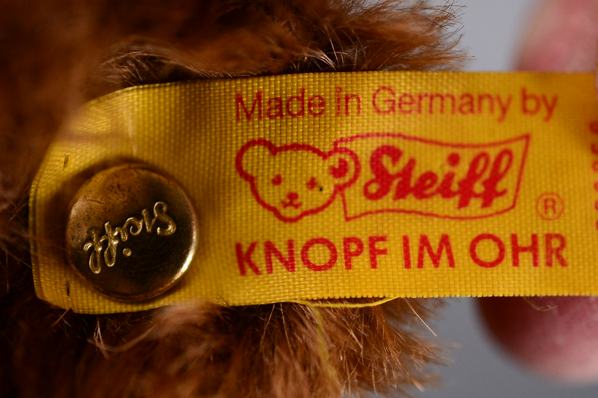 Steiff Bear, Germany