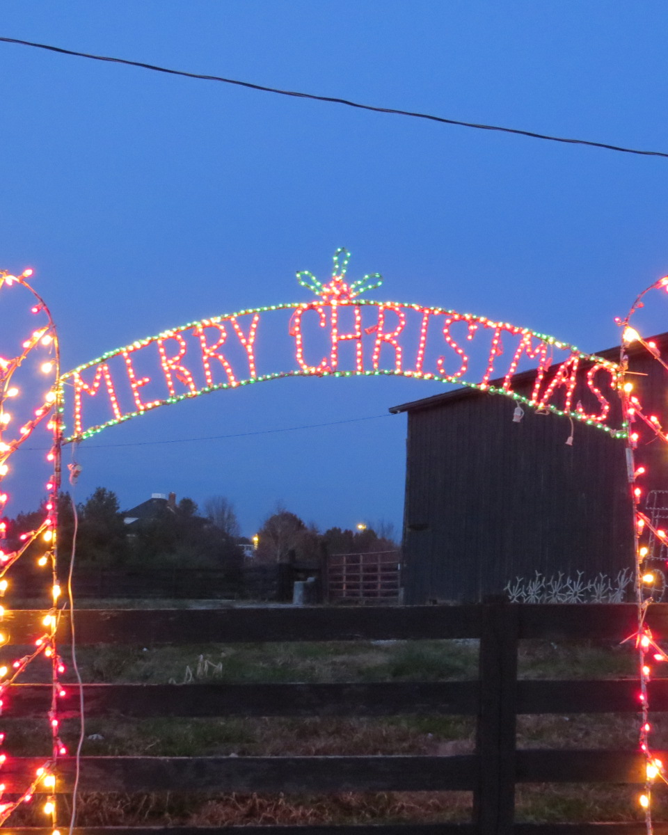 Outdoor Merry Christmas Archway Light Display