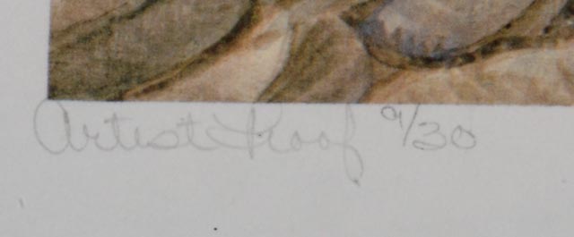 Rare Edition Artist Proof, John Ruthven