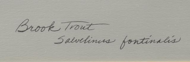 Original Watercolor Painting by Eileen Klatt