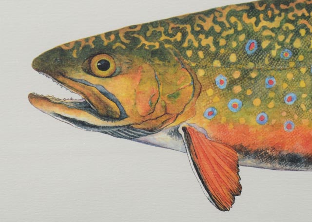 Original Watercolor Painting by Eileen Klatt