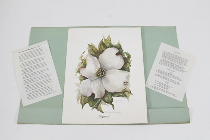 Signed "Dogwood" Print by Nellie Meadows 315/1000
