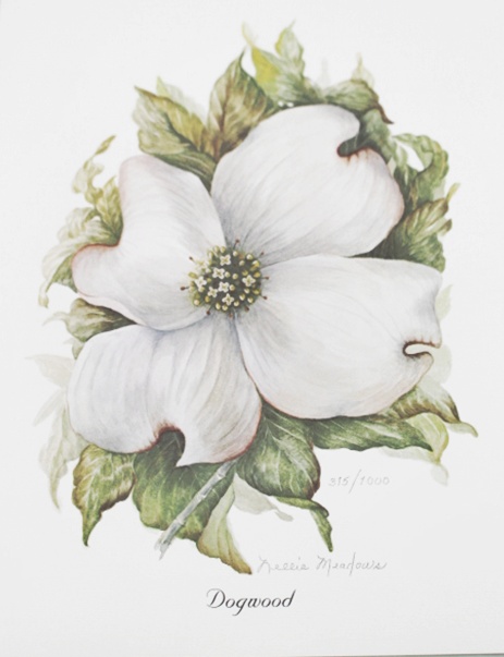 Signed "Dogwood" Print by Nellie Meadows 315/1000