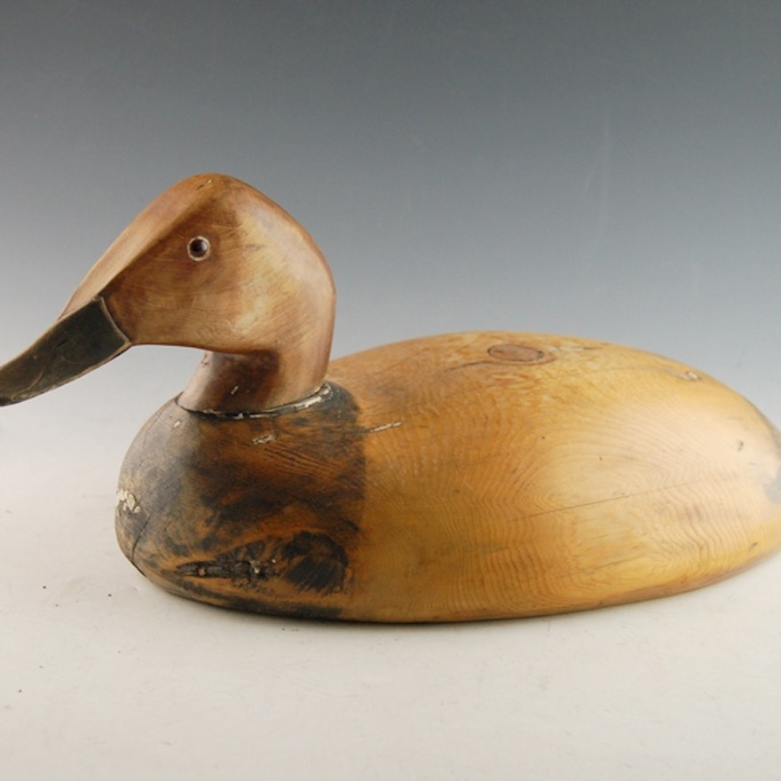 Canvasback Duck Decoy