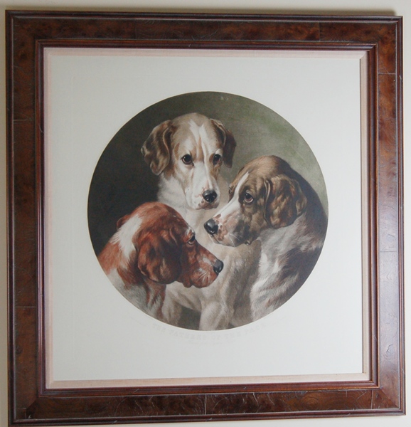 "Hounds of the Pytchley Hunt" Restrike Engraving by Will Barraud