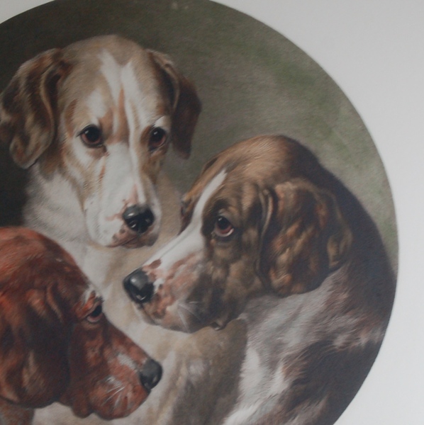 "Hounds of the Pytchley Hunt" Restrike Engraving by Will Barraud