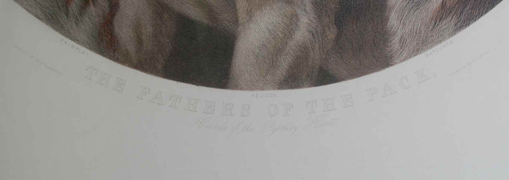 "Hounds of the Pytchley Hunt" Restrike Engraving by Will Barraud