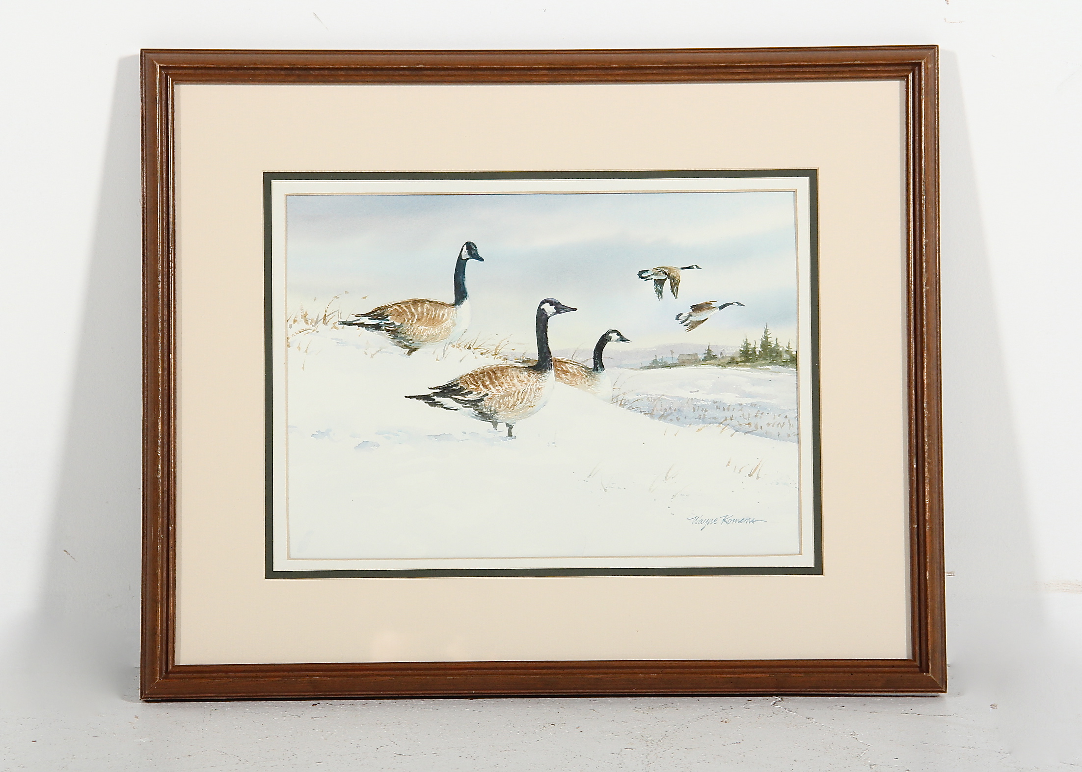 Canada Geese Original Watercolor Painting by Wayne Romans