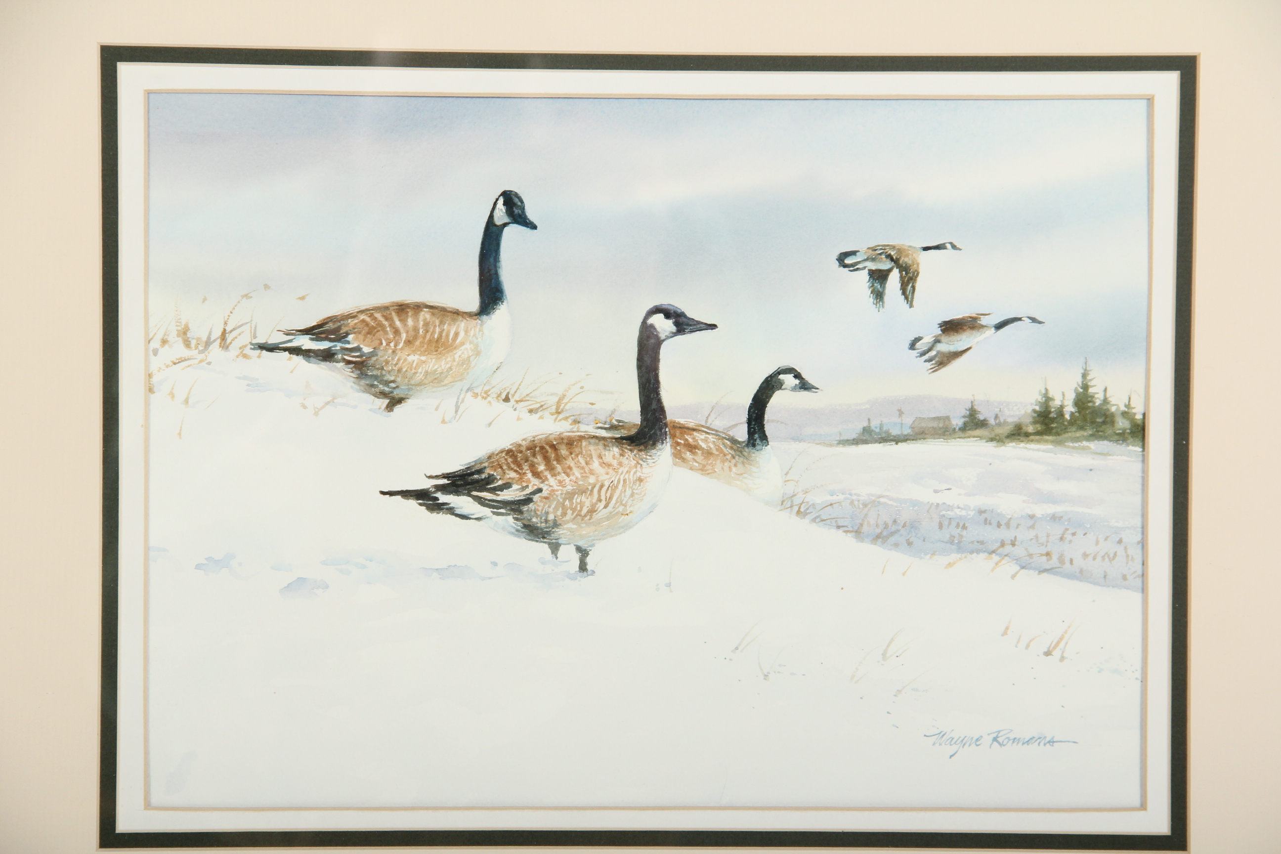 Canada Geese Original Watercolor Painting by Wayne Romans