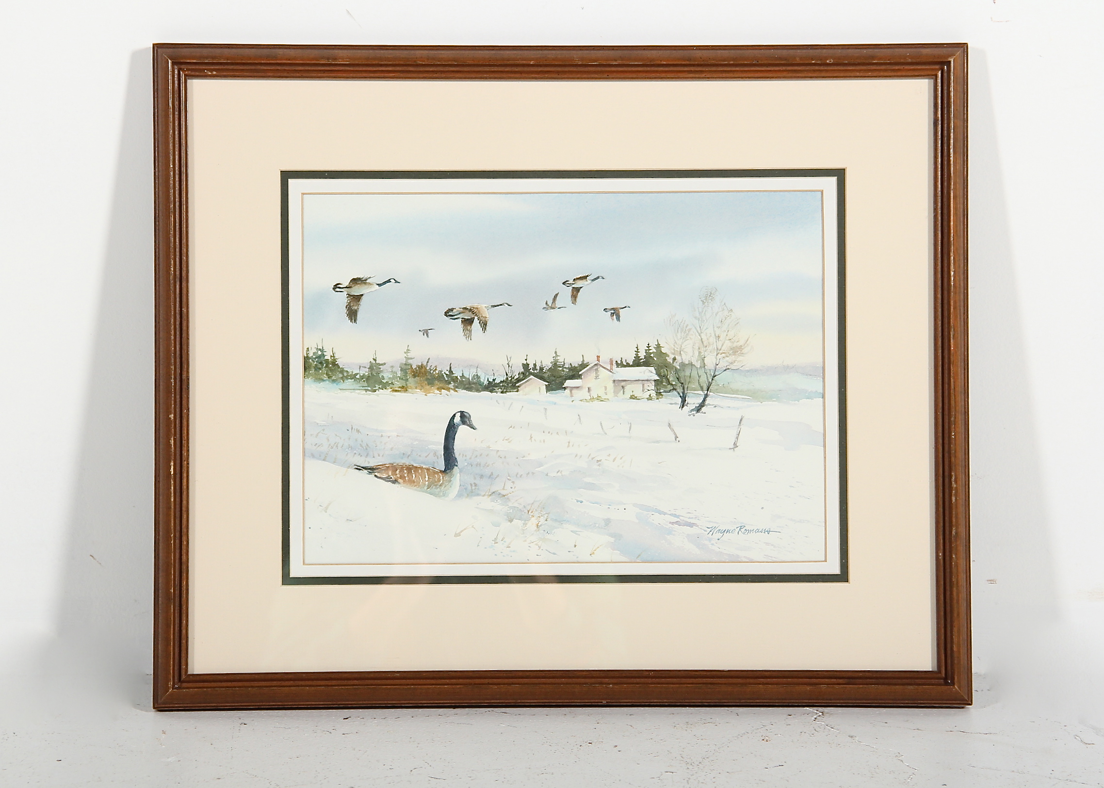 Canada Geese Original Watercolor Painting by Wayne Romans